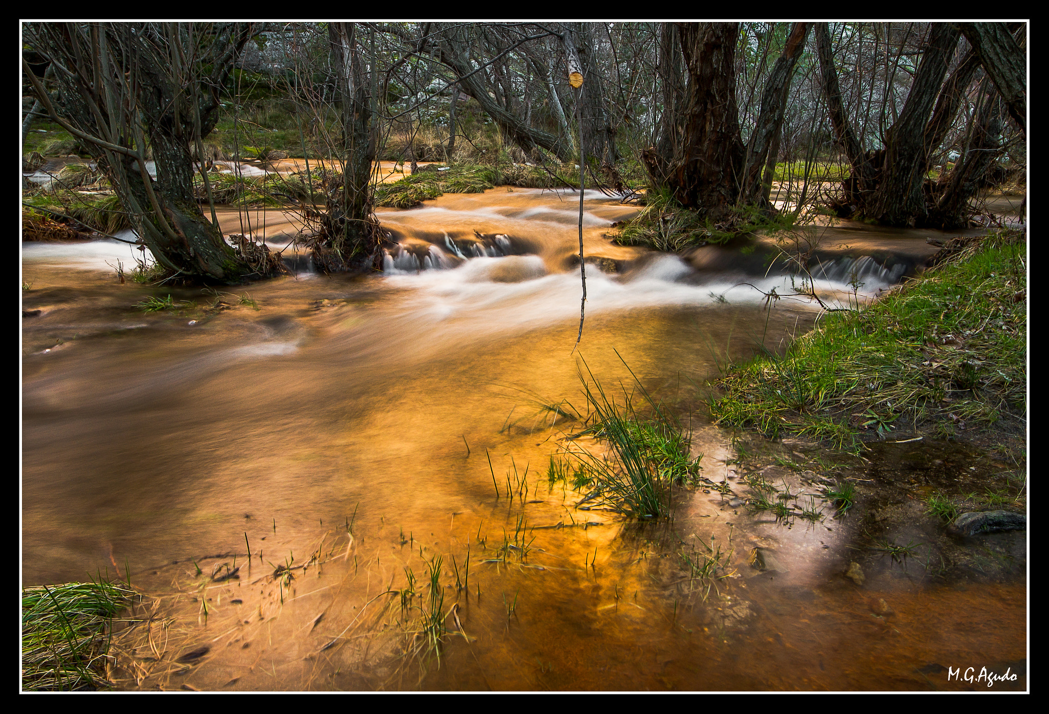 Sigma 8-16mm F4.5-5.6 DC HSM sample photo. Rio dorado photography