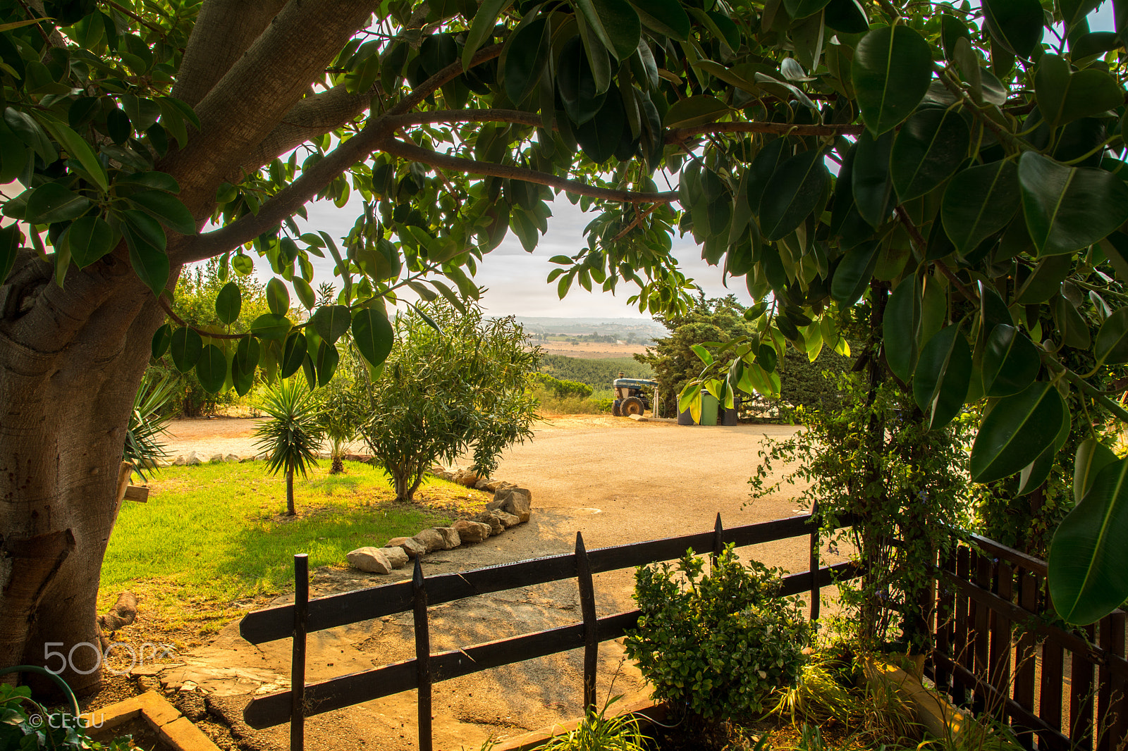 Sigma 17-50mm F2.8 EX DC OS HSM sample photo. Farm in the algarve. photography