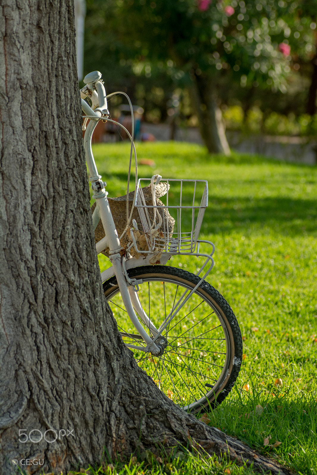 Nikon D7100 sample photo. Bicycle photography