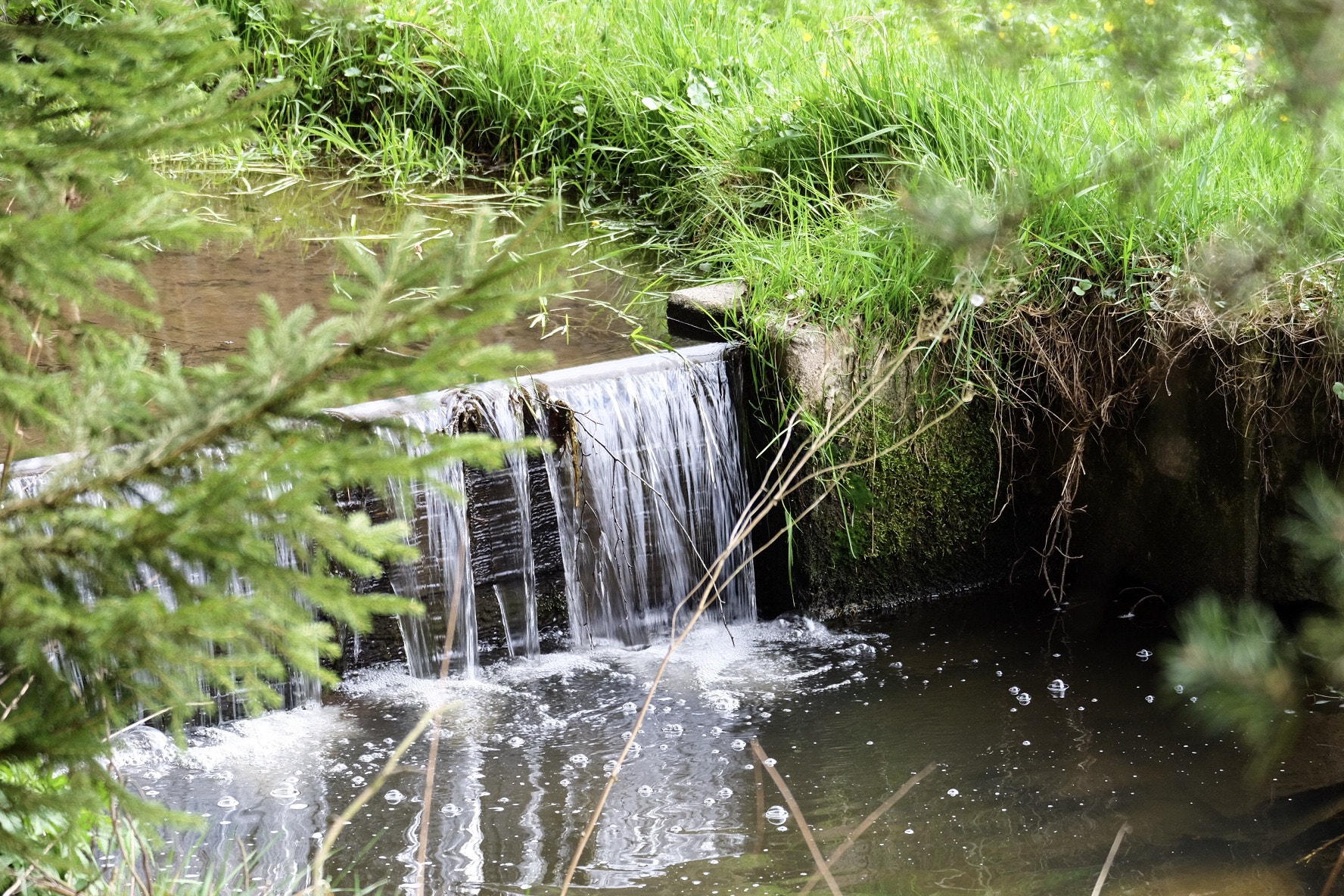 Fujifilm X-T1 sample photo. Outdoor in the woods. nice little river beside my place. photography