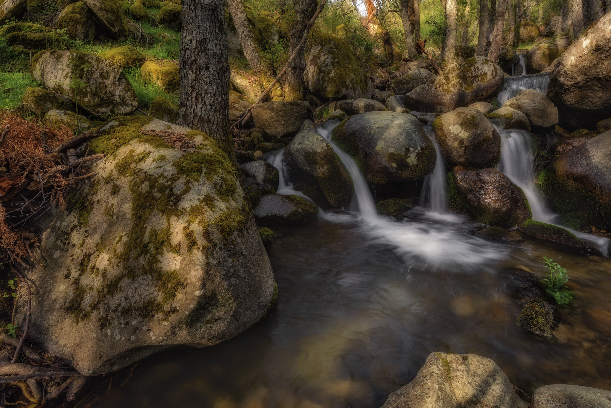 Nikon AF-S Nikkor 16-35mm F4G ED VR sample photo. Las tres cascadas photography