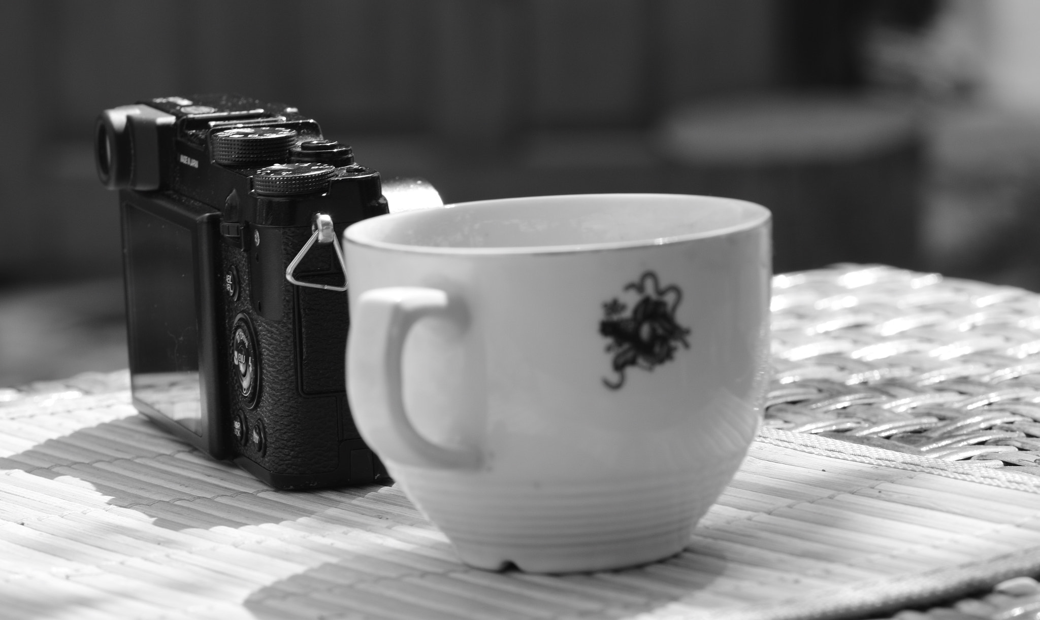 Nikon AF-S DX Micro-Nikkor 85mm F3.5G ED VR sample photo. Black & white photography