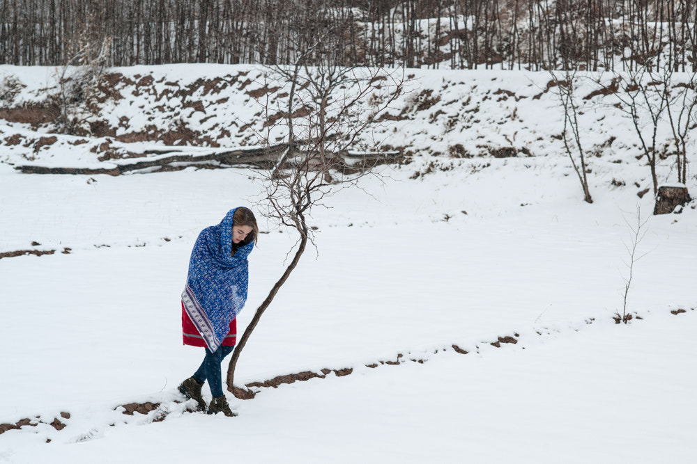 Nikon D3X sample photo. Walk in snow photography