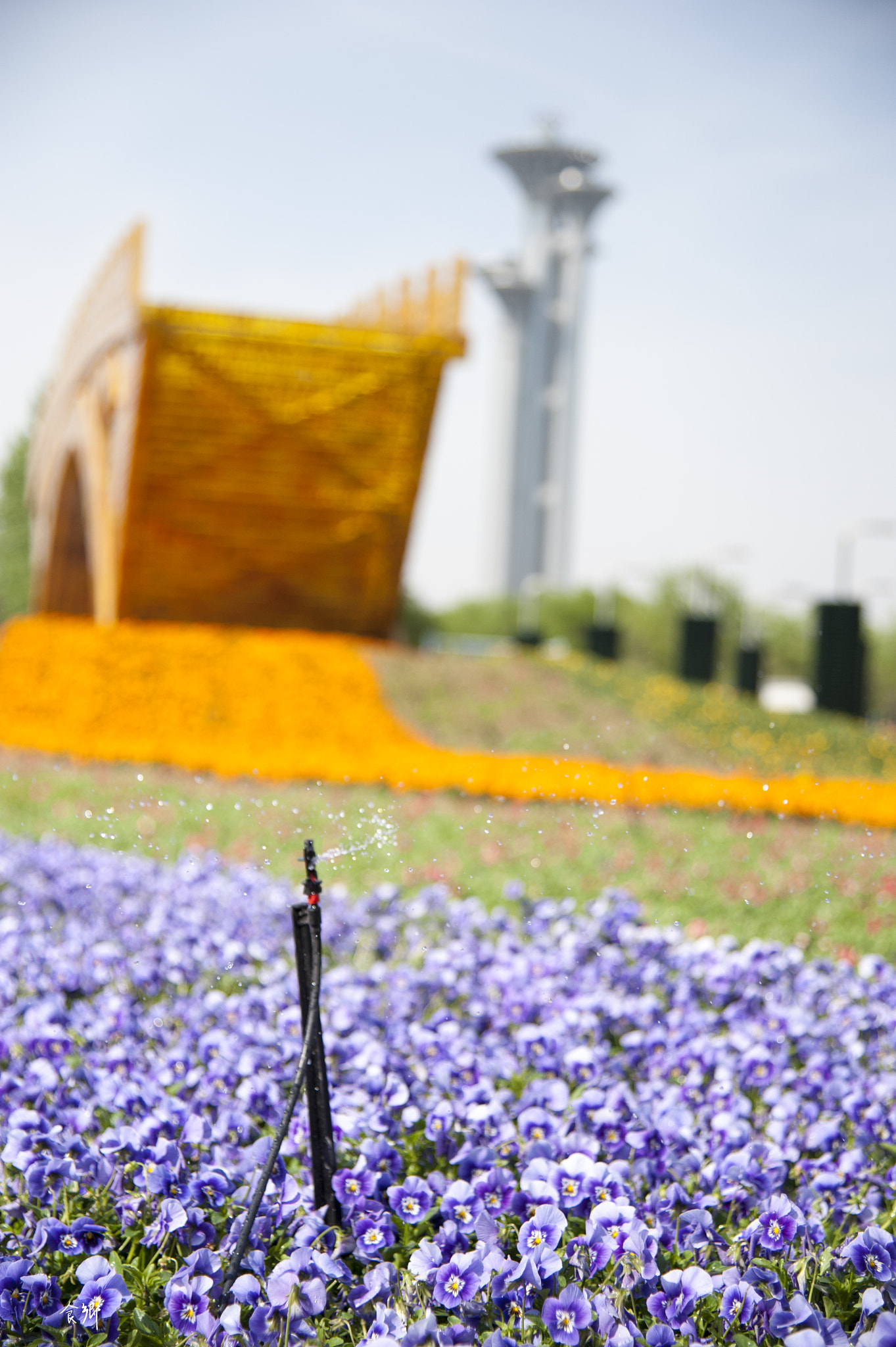 Nikon AF-S Nikkor 24-120mm F4G ED VR sample photo. 食郷 photography