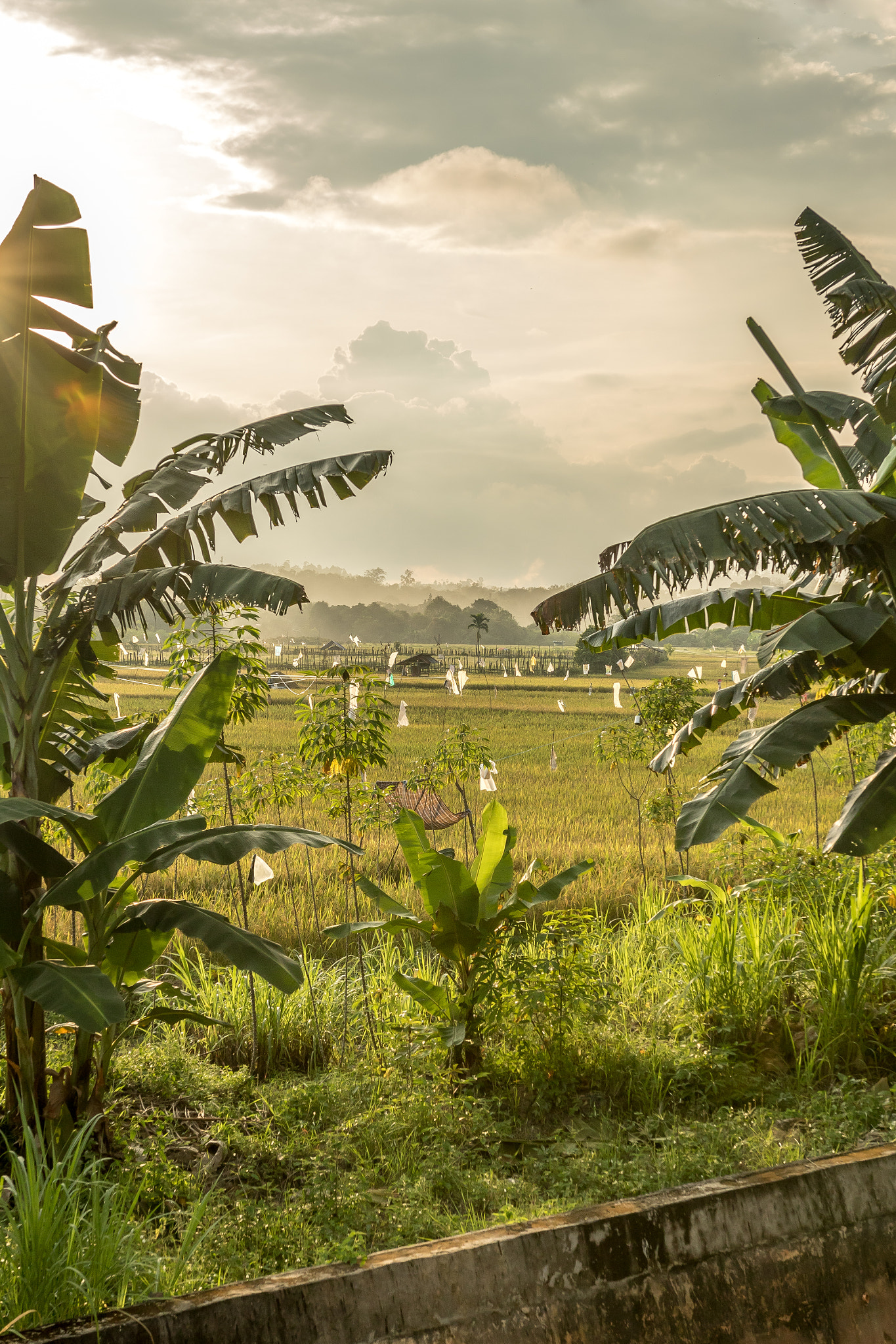 Sigma 18-35mm f/1.8 DC HSM sample photo. Kalimantan sunset photography