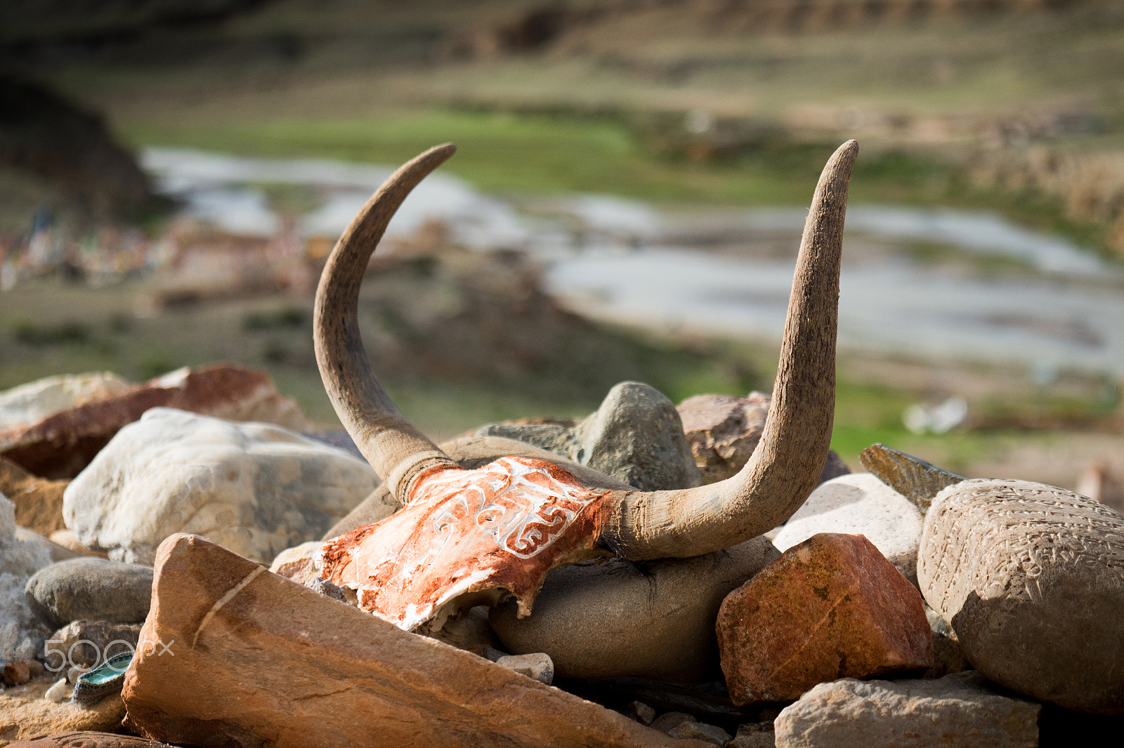 Panasonic Lumix G X Vario 35-100mm F2.8 OIS sample photo. Horn and valley tibet himalayas photography