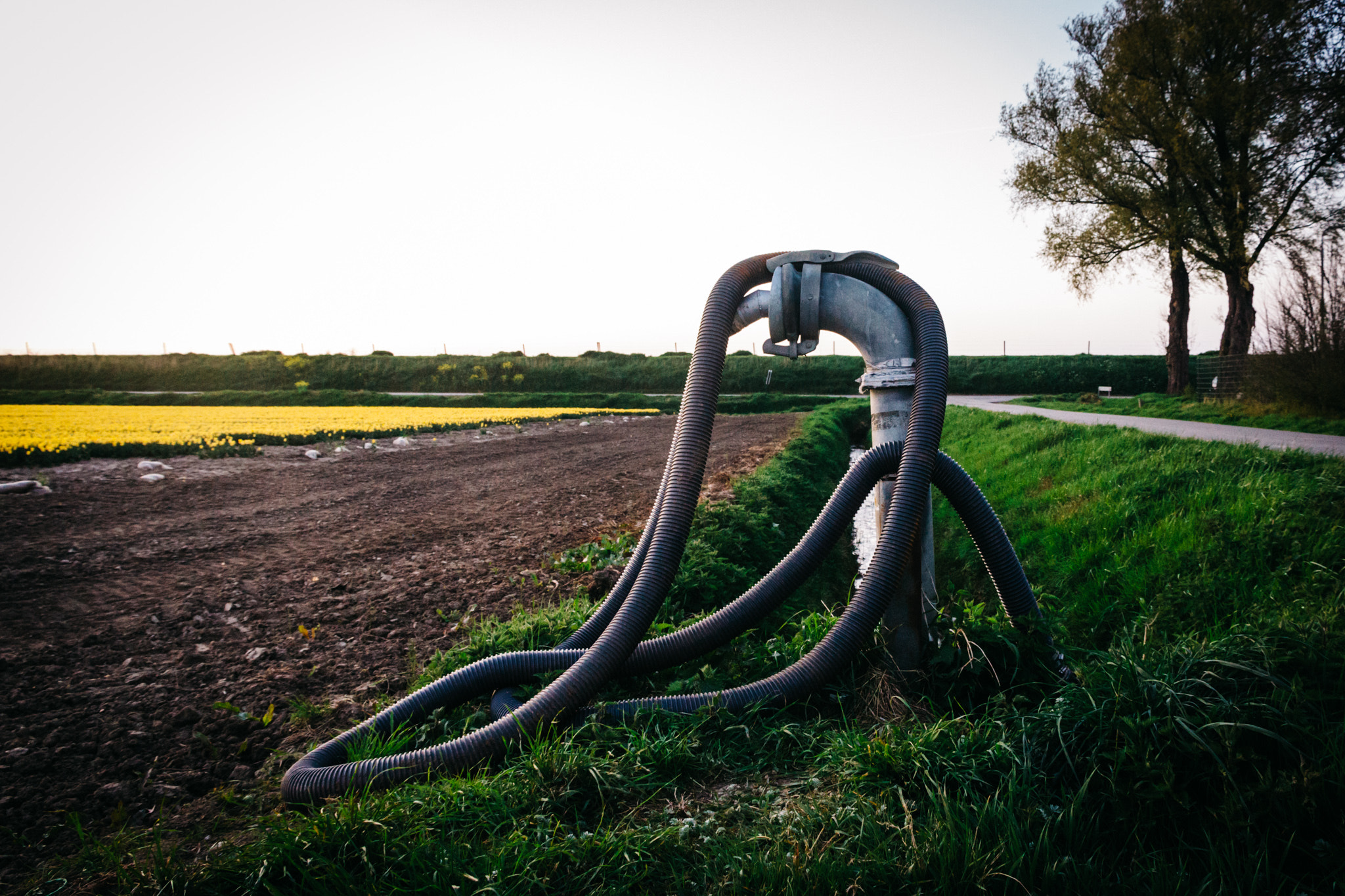 Canon EOS 60D sample photo. Alien hoses photography