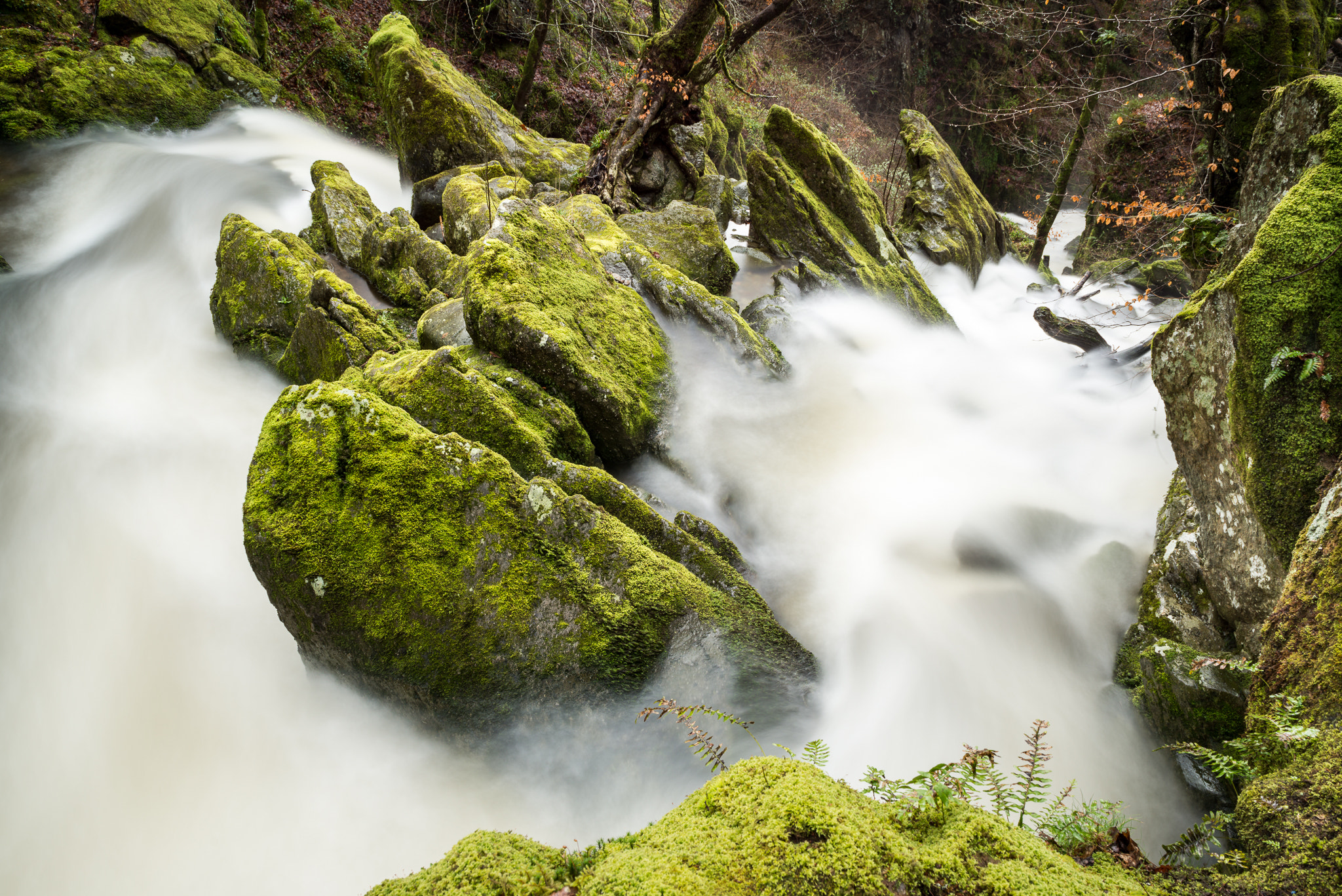 Nikon AF-S Nikkor 24-70mm F2.8G ED sample photo. Stock gyhll force photography
