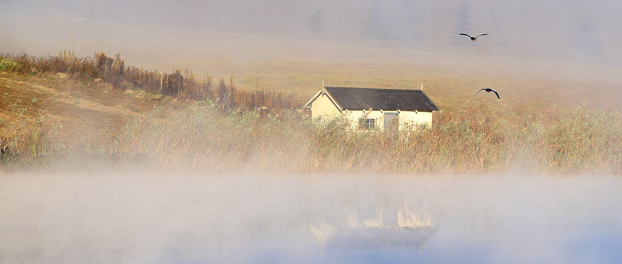 Sigma 105mm F2.8 EX DG OS HSM sample photo. Cottage in the mist photography