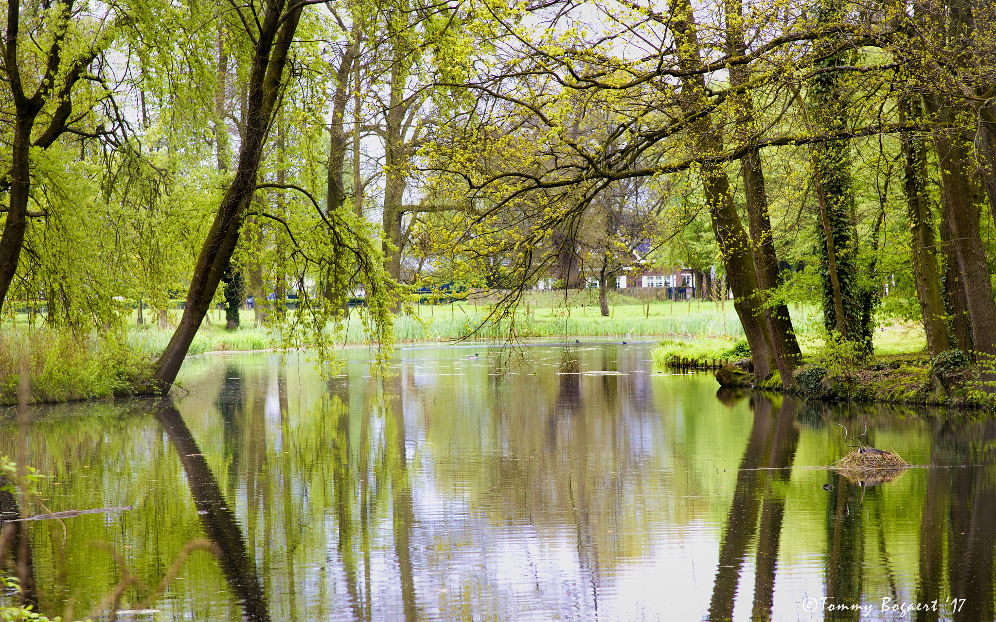 Canon EOS 550D (EOS Rebel T2i / EOS Kiss X4) sample photo. 'mirror pond' photography