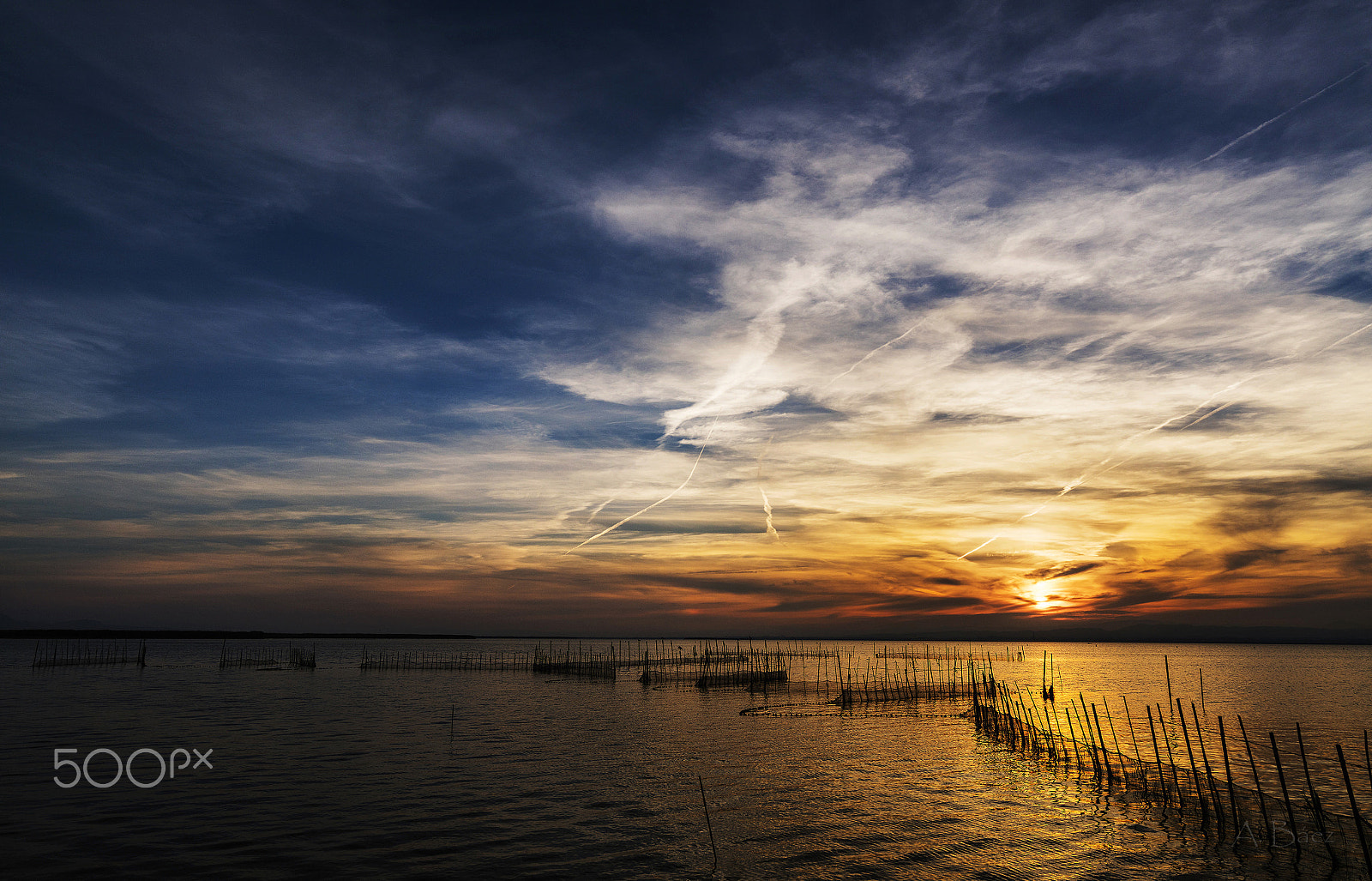 Sony a7R II sample photo. Atardecer en la albufera photography