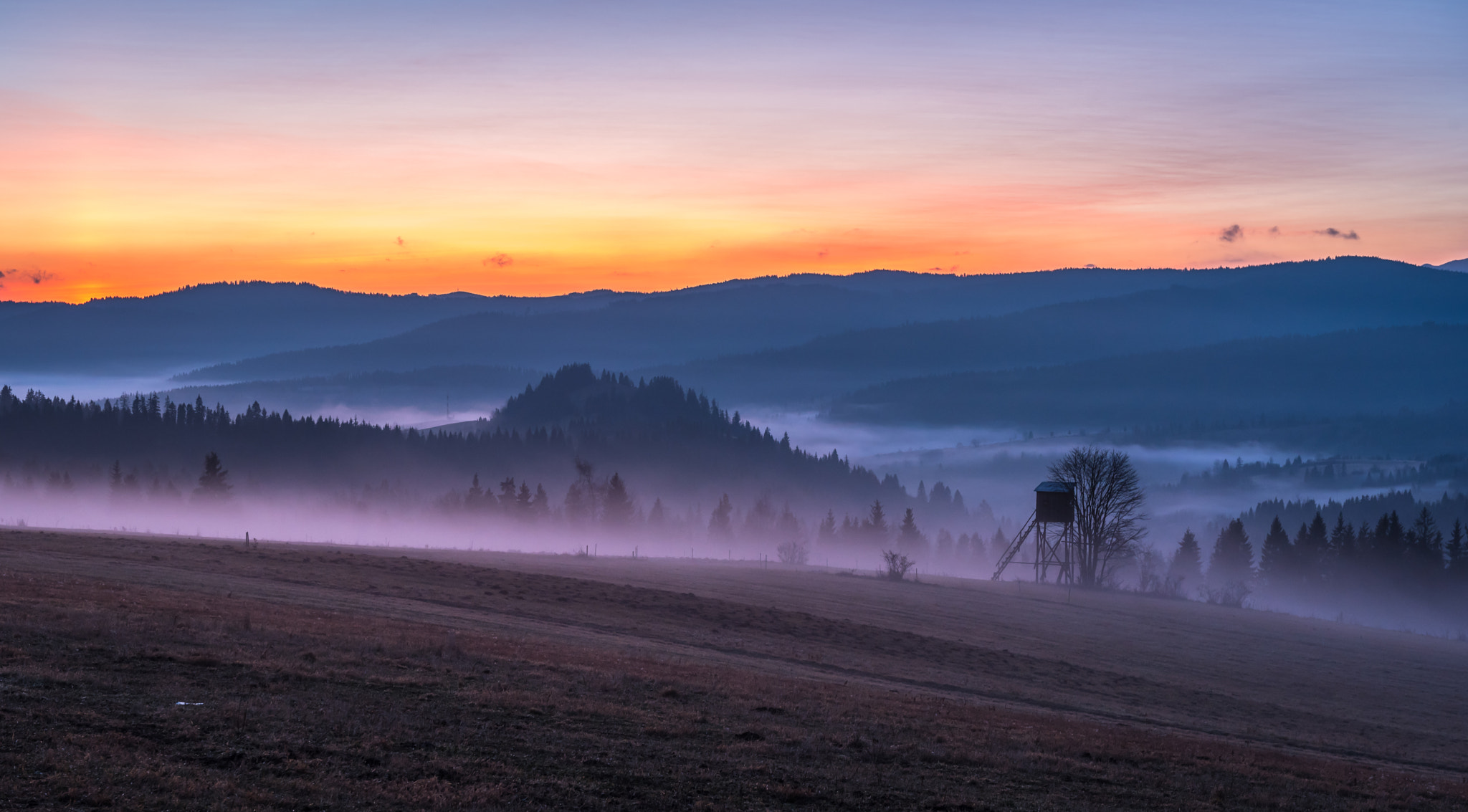 Nikon AF-S Nikkor 24-70mm F2.8G ED sample photo. Łapszanka photography