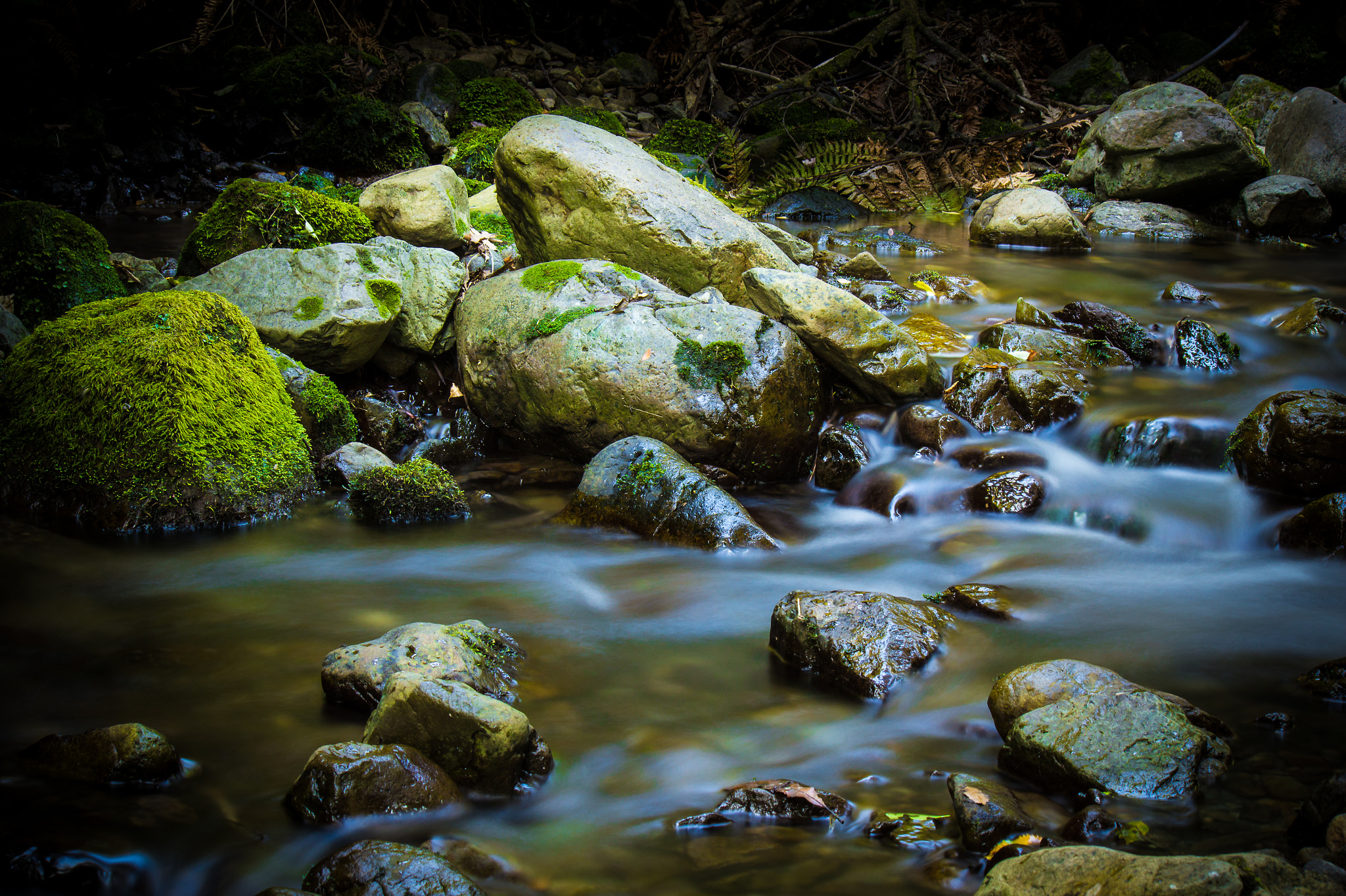 Canon EOS 600D (Rebel EOS T3i / EOS Kiss X5) sample photo. Green flows photography