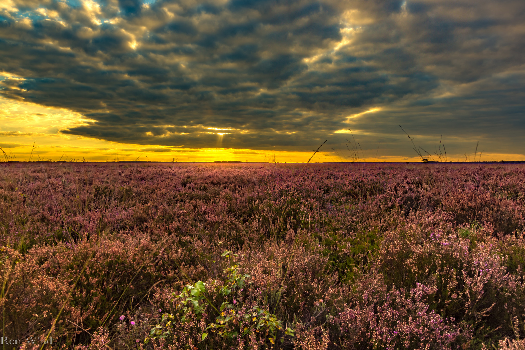 Sony SLT-A77 sample photo. Dwingeloo (holland) photography
