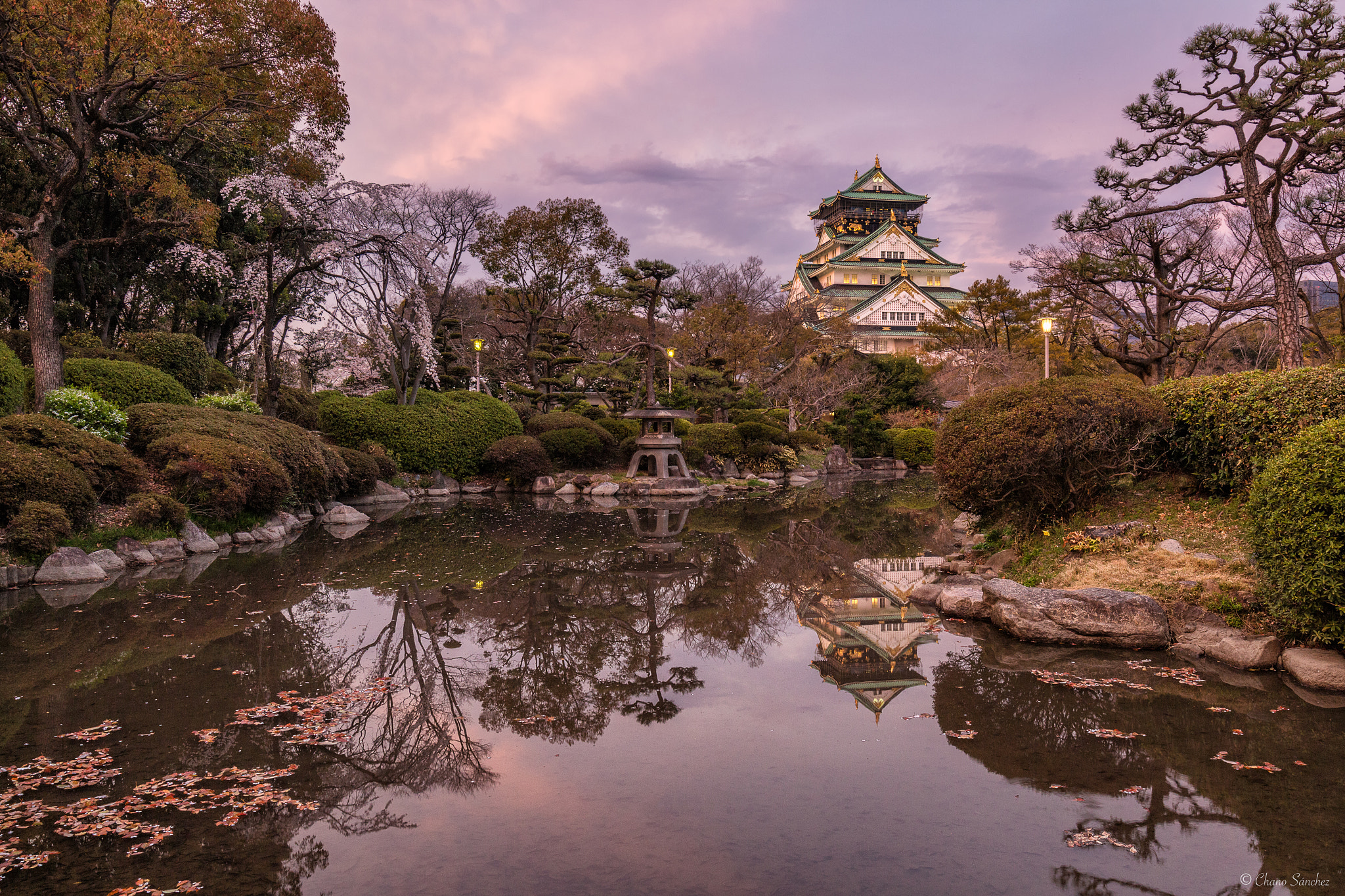 Canon EF 16-35mm F4L IS USM sample photo. Reflections of destiny || osaka castle photography