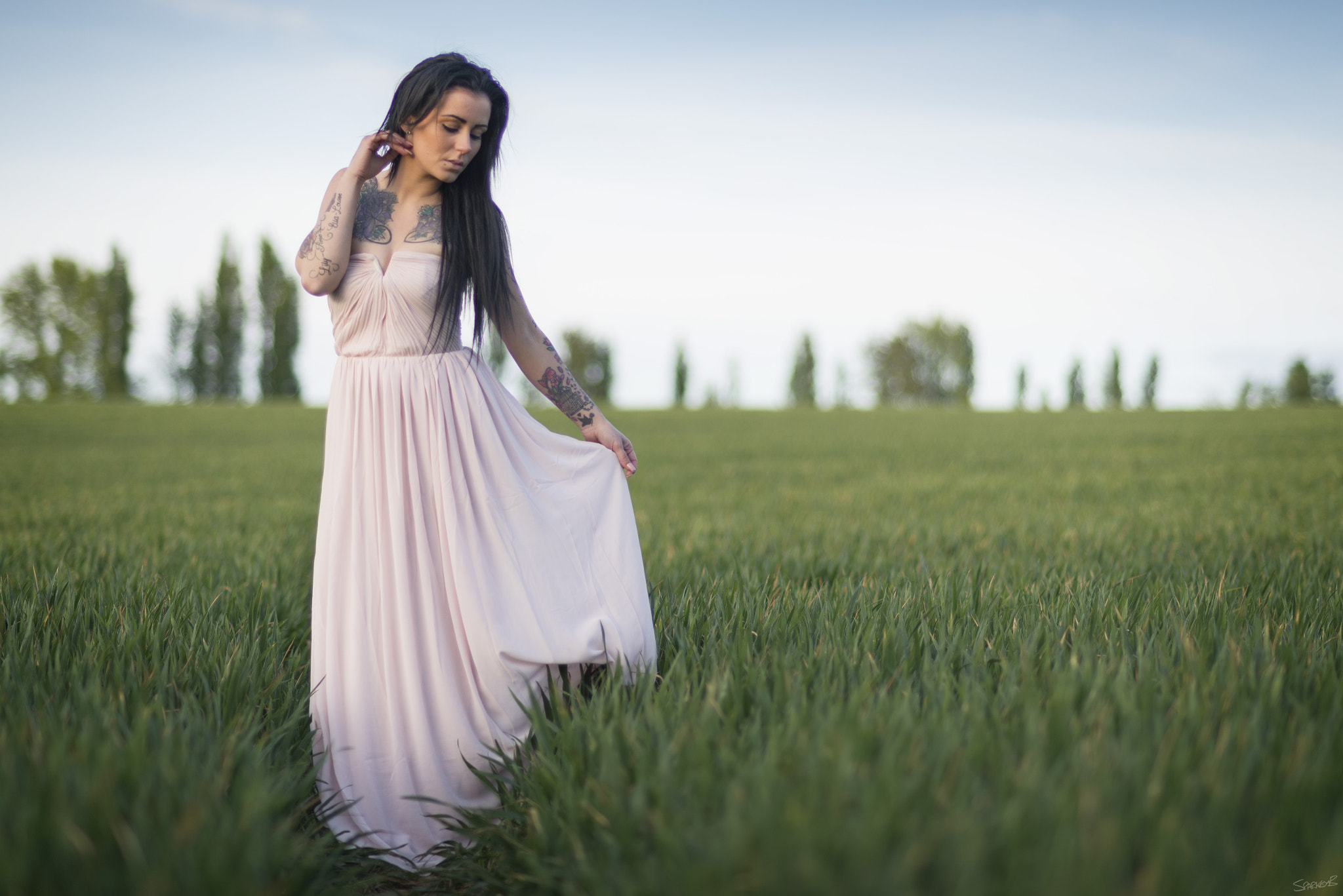 Nikon AF Nikkor 85mm F1.8D sample photo. Field of dreams photography