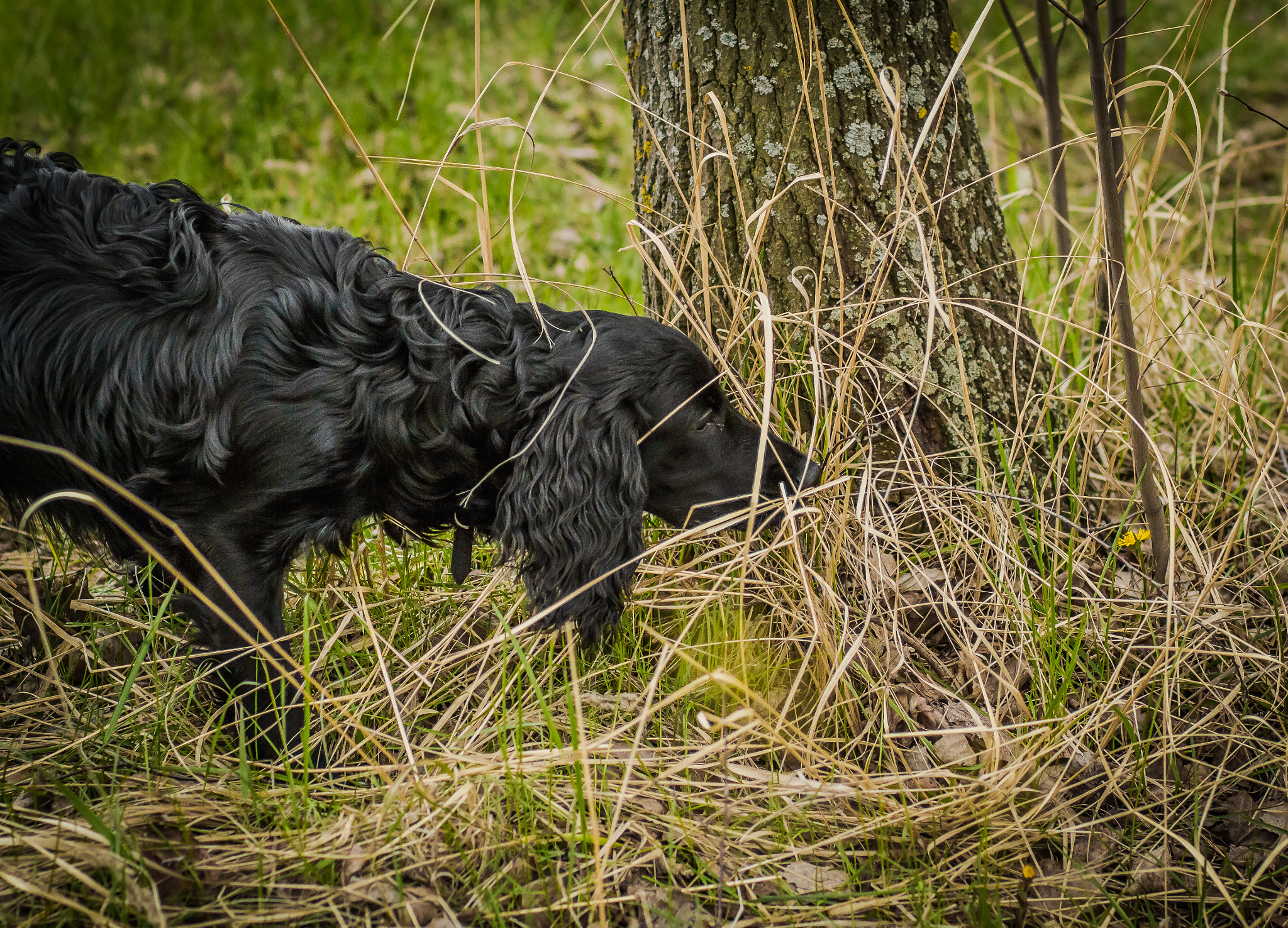 Canon EOS 7D + Canon EF 85mm F1.8 USM sample photo. Jack photography