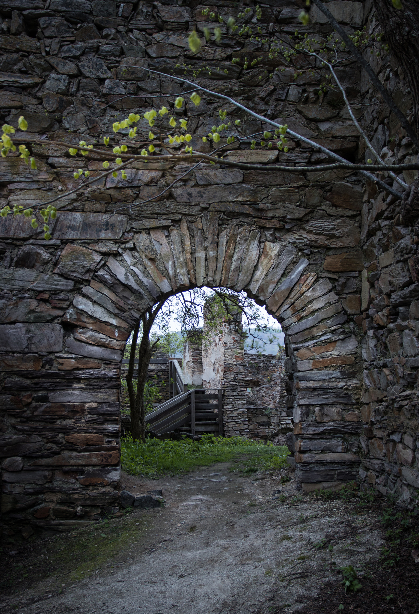 Sigma 17-70mm F2.8-4 DC Macro OS HSM sample photo. Ruine schauenstein #2 photography