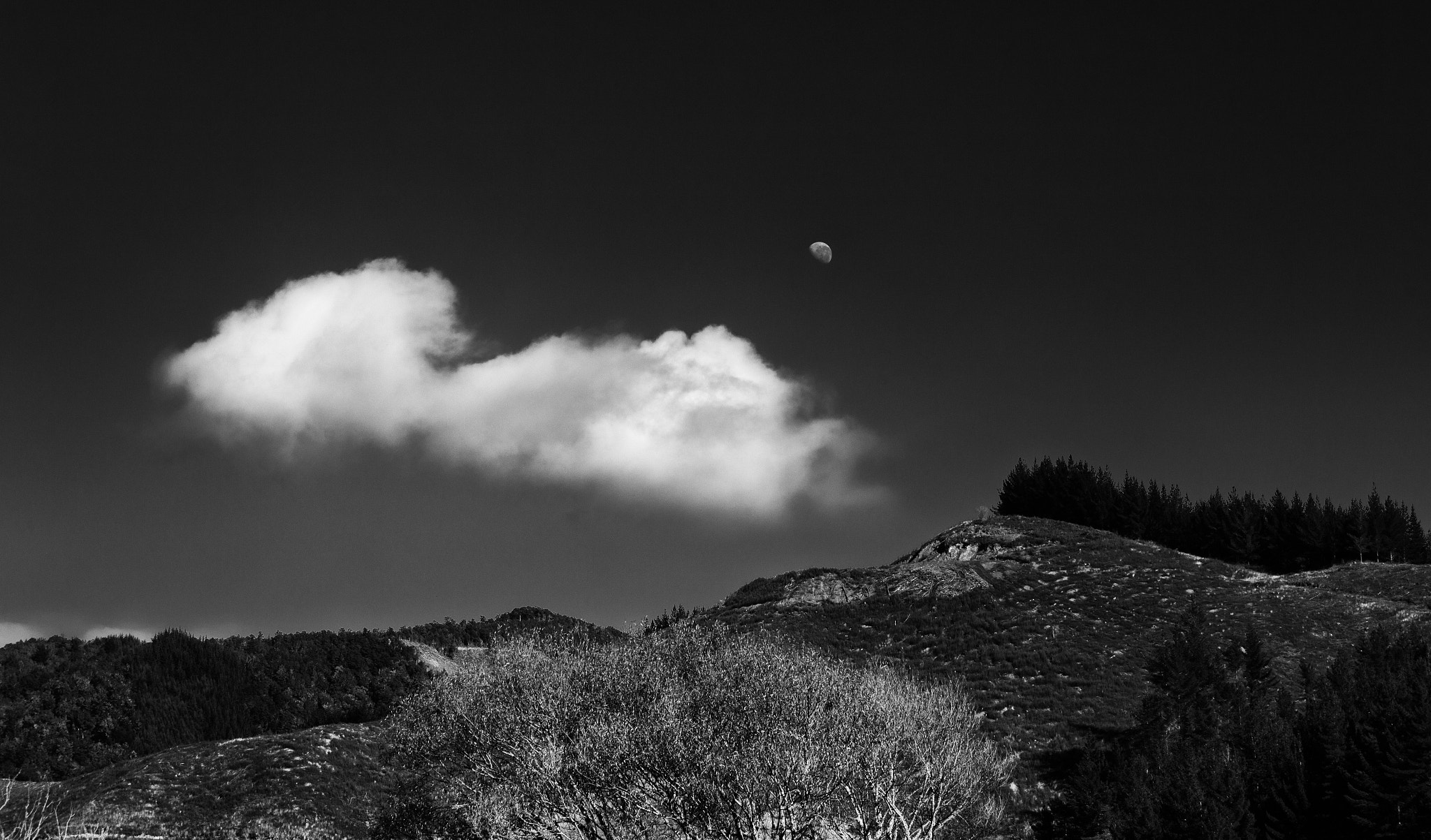 Canon EOS 6D + Canon EF 70-200mm F4L IS USM sample photo. The half moon photography
