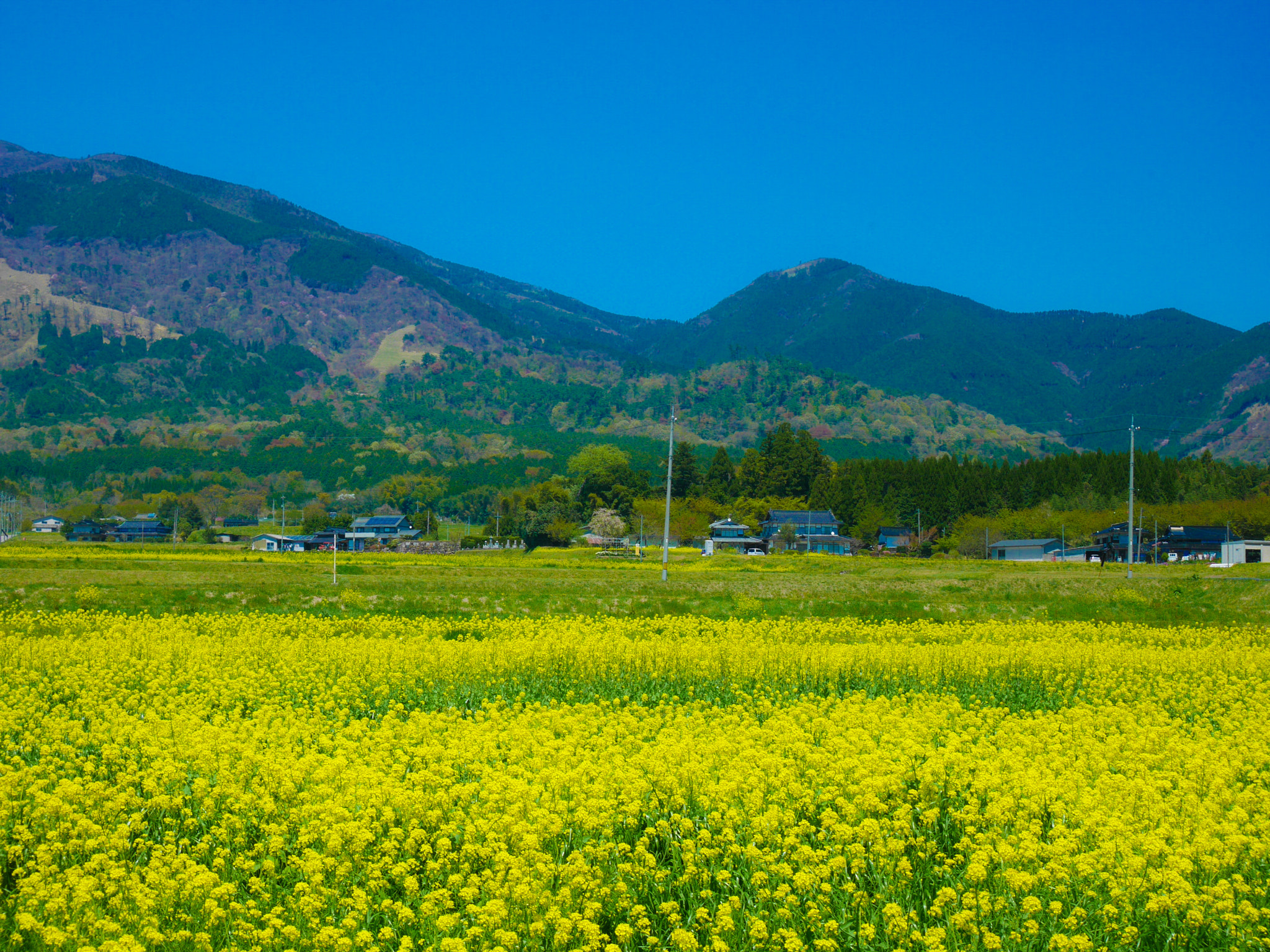 Panasonic Lumix G Vario HD 12-32mm F3.5-5.6 Mega OIS sample photo