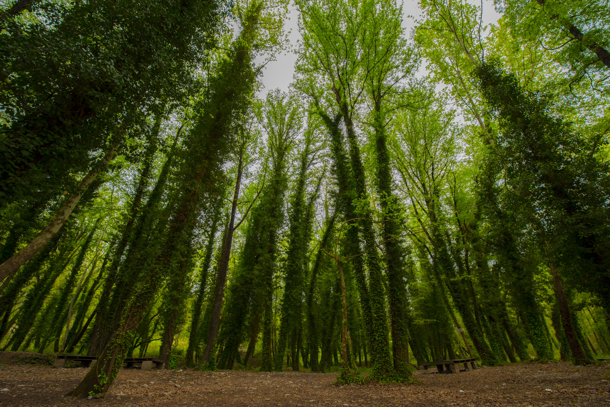 Nikon AF-S Nikkor 14-24mm F2.8G ED sample photo. Dsc photography