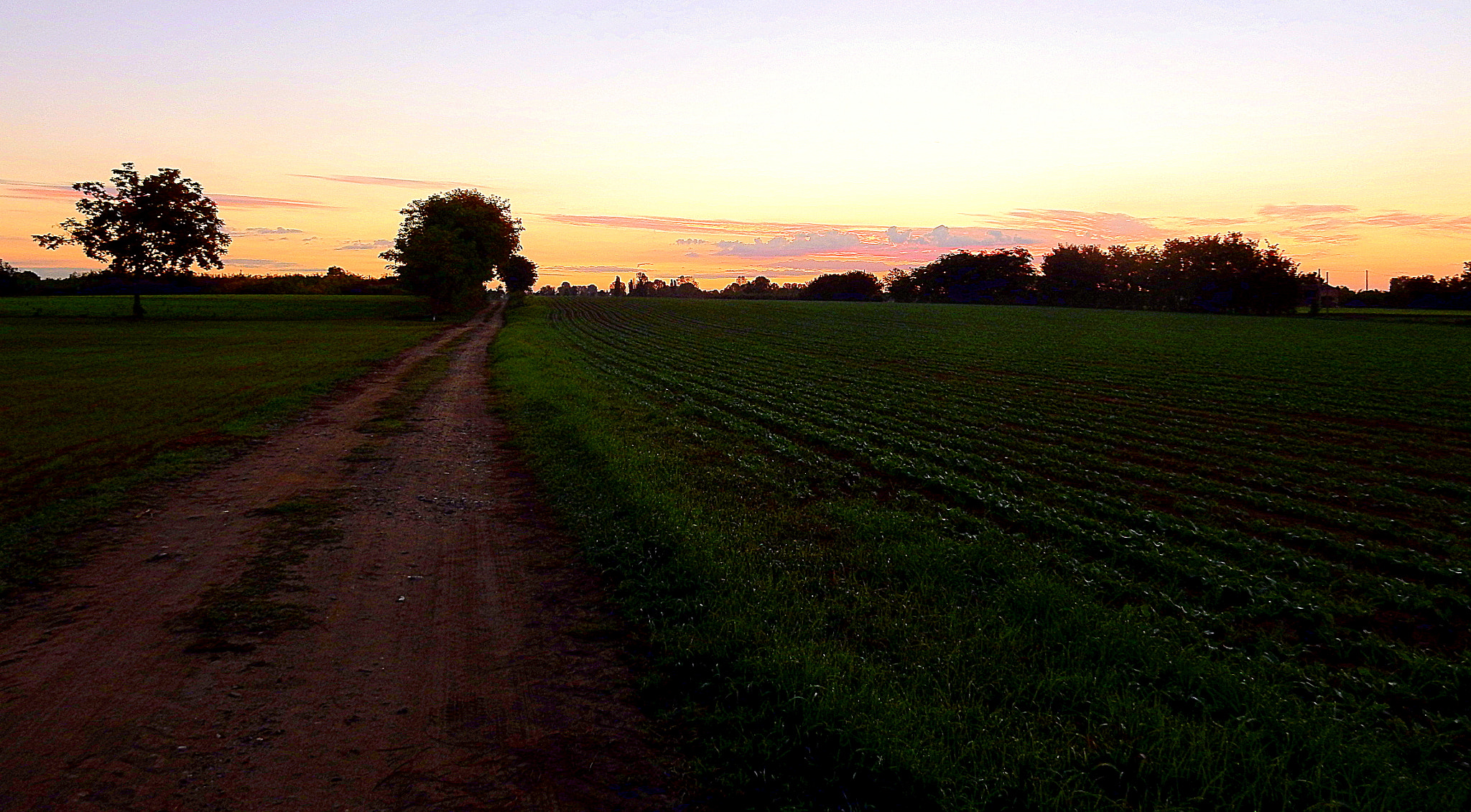 Nikon Coolpix S9700 sample photo. Alba meravigliosa in campagna. photography