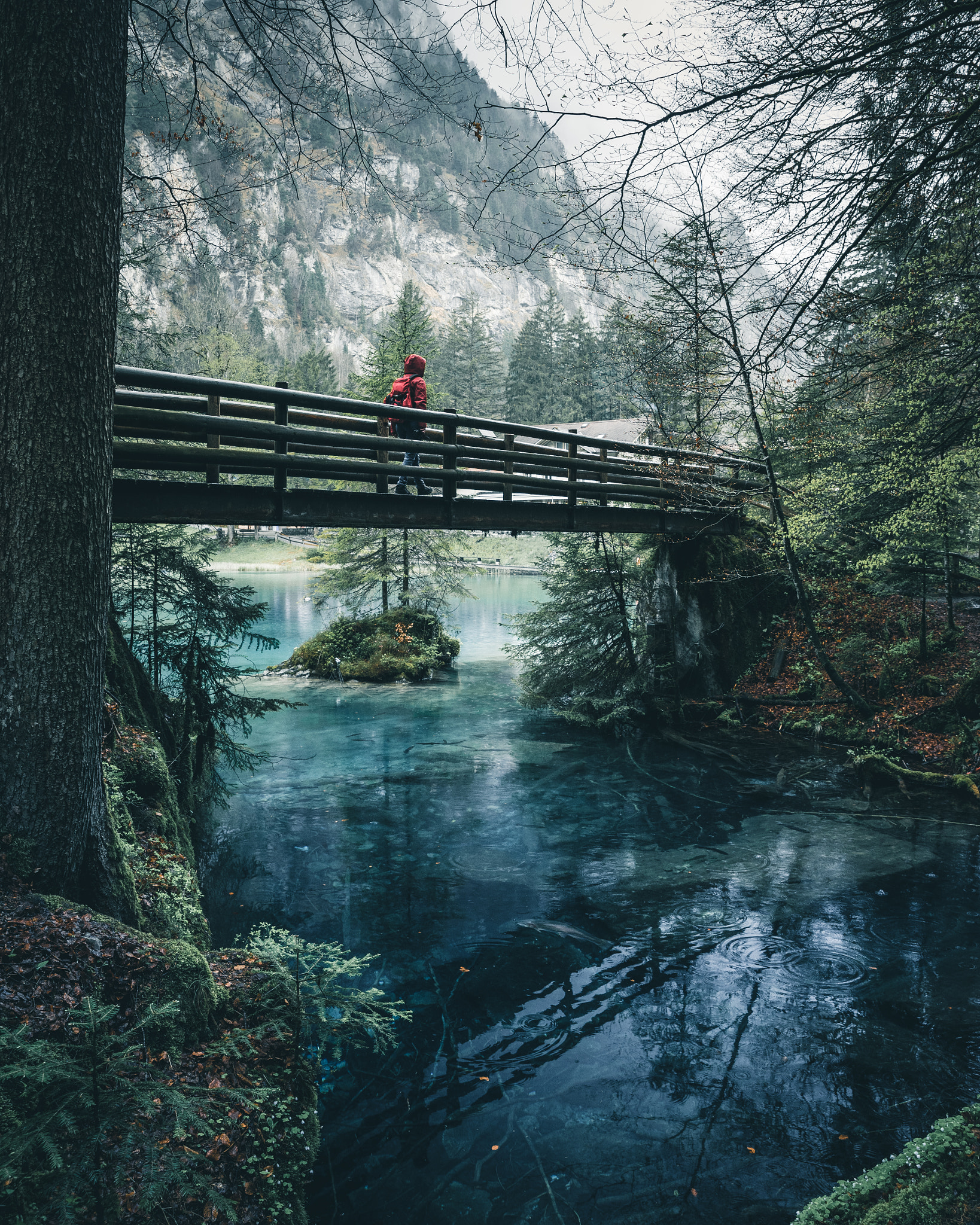 Nikon D750 sample photo. Rainy day at blausee photography