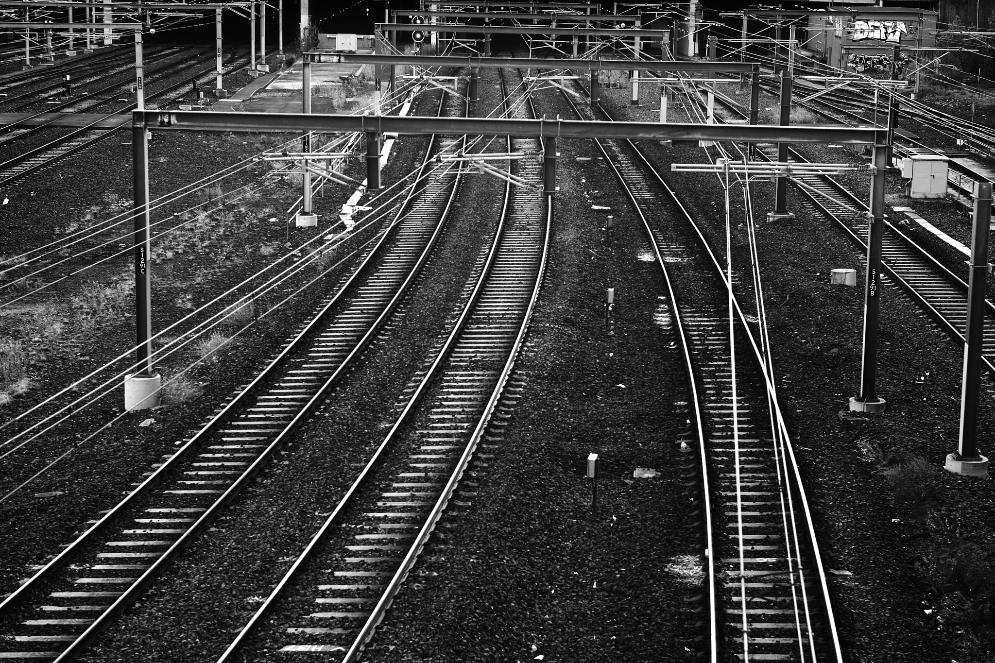 Leica M (Typ 240) + Leica APO-Summicron-M 75mm F2 ASPH sample photo. Captured this at the flinders station in melbourne ... photography