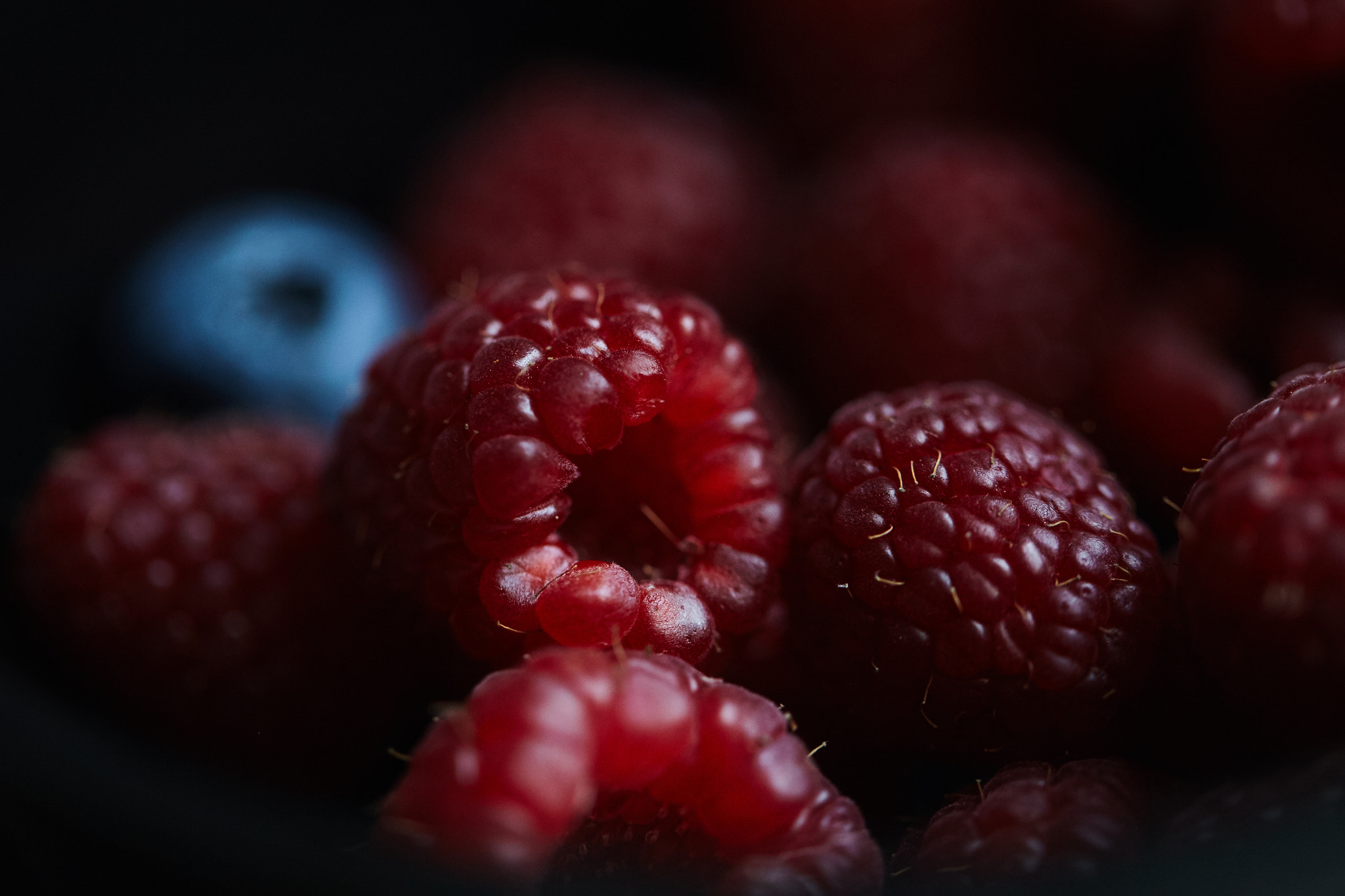 Canon EF 100mm F2.8L Macro IS USM sample photo. Ulsei photography