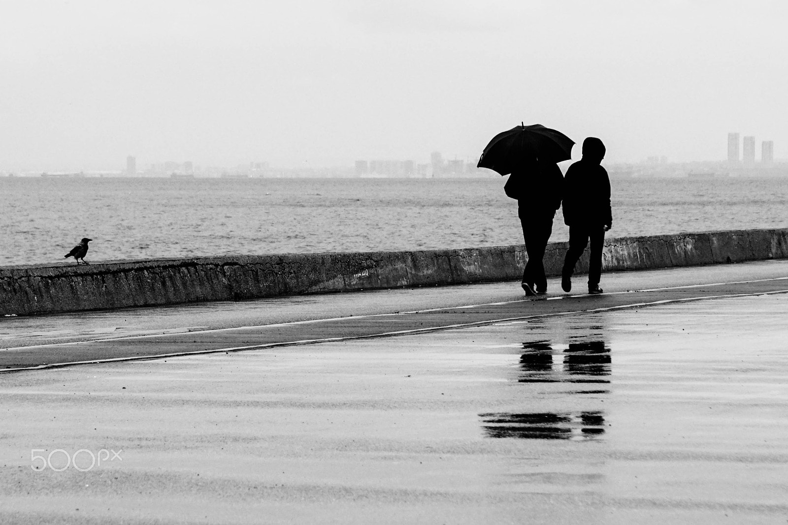 Sony a6300 + Sony E 55-210mm F4.5-6.3 OSS sample photo. Crow and walking people in the rain photography