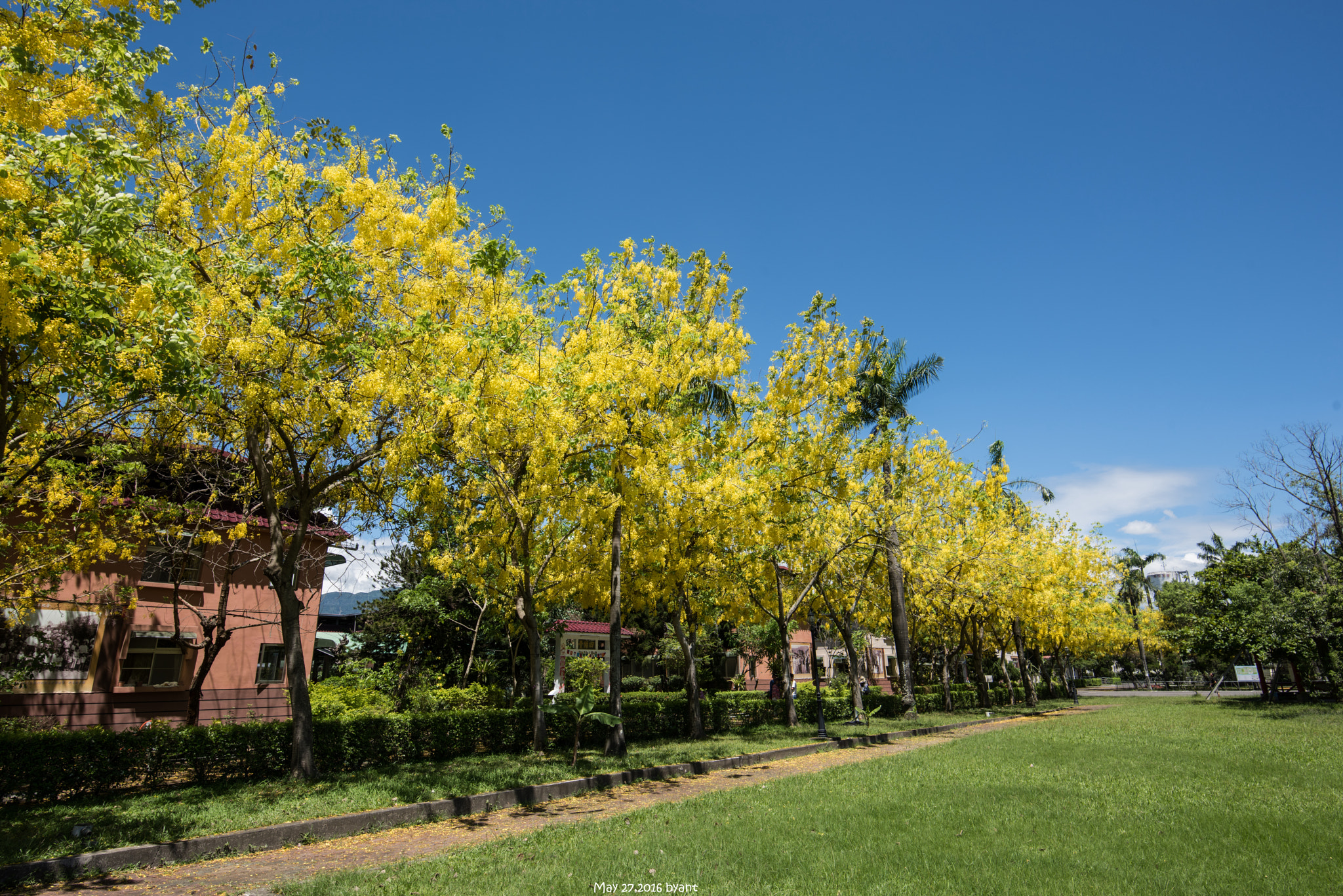 Nikon D810 + Tamron SP 15-30mm F2.8 Di VC USD sample photo. (yellow square) photography