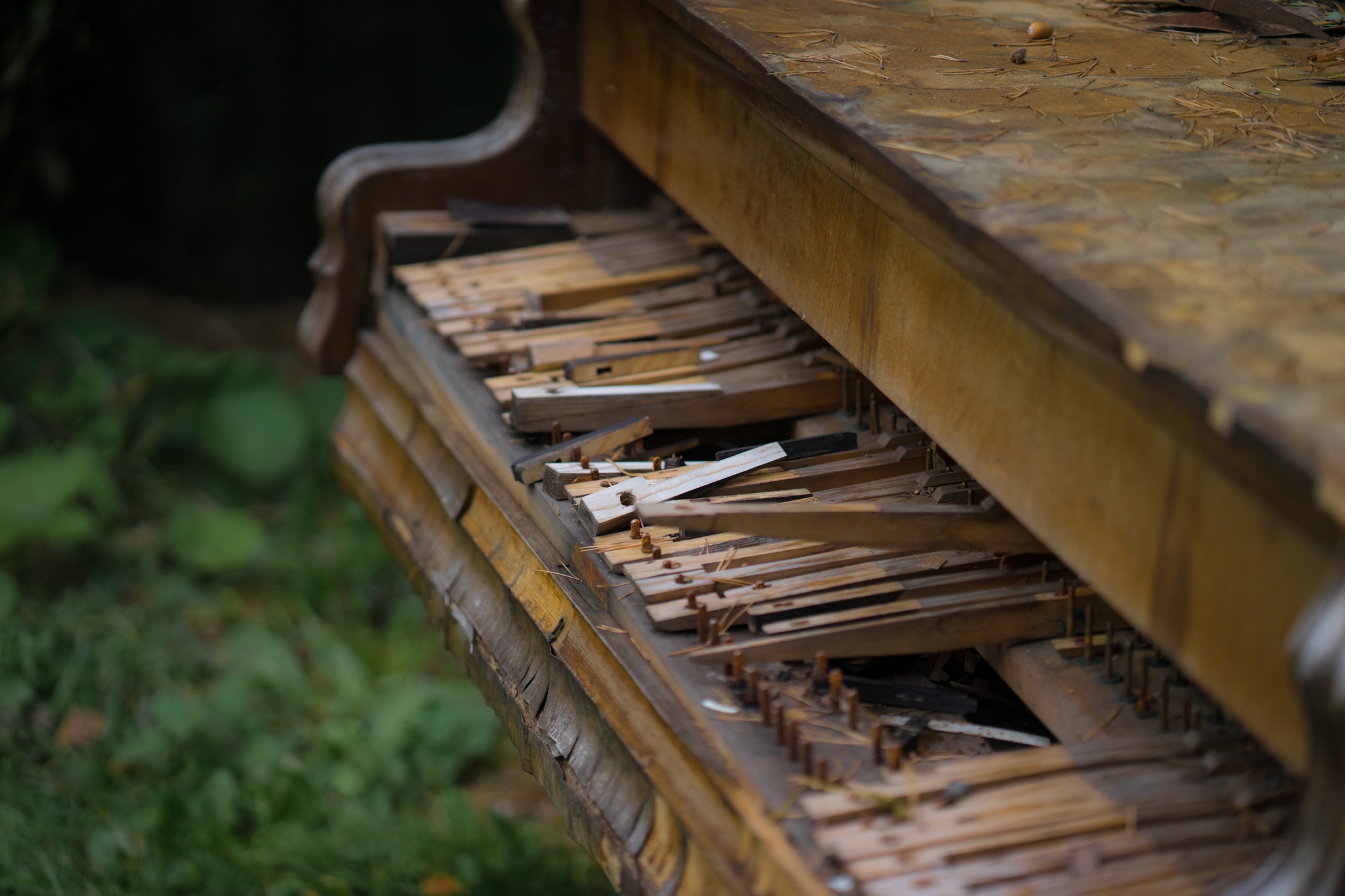 ZEISS Batis 85mm F1.8 sample photo. Garden piano photography