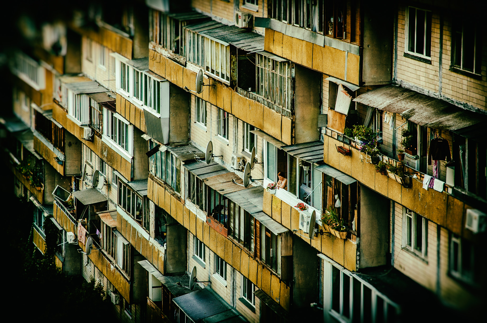 Nikon D50 sample photo. Woman in the window photography