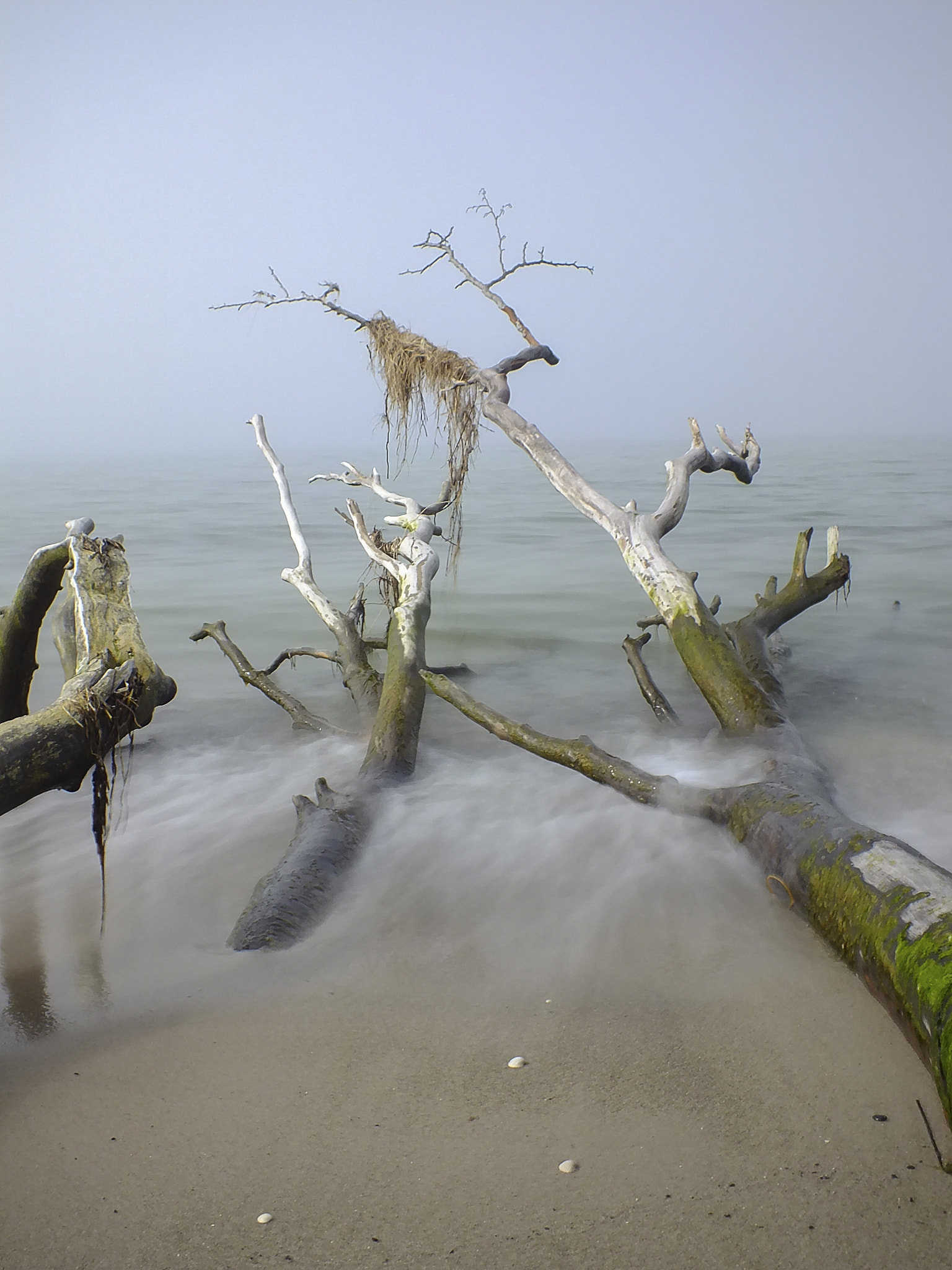 Fujifilm FinePix HS35EXR sample photo. A foggy day at the beach photography