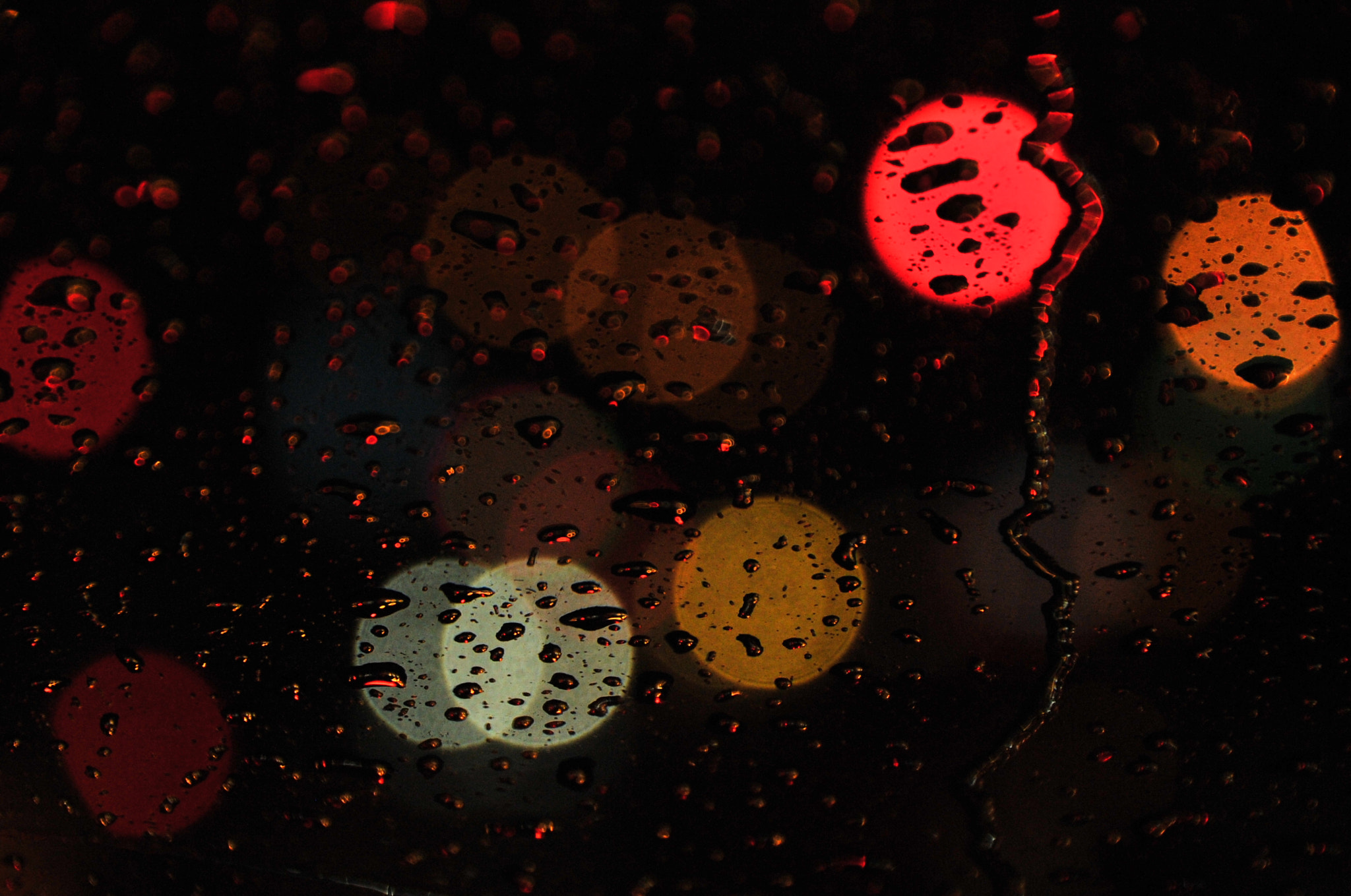 Nikon D3S sample photo. .. photography