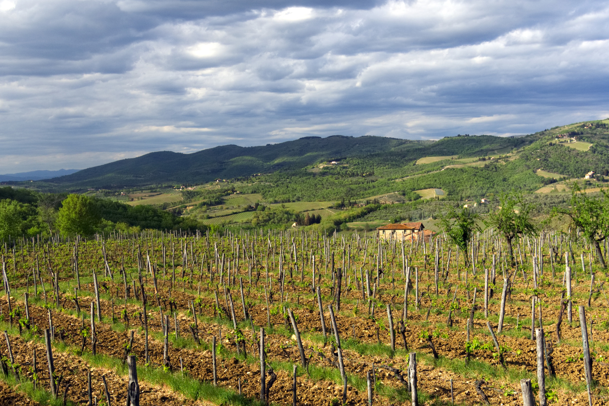 Olympus OM-D E-M10 sample photo. Hills near panzano in chianti photography