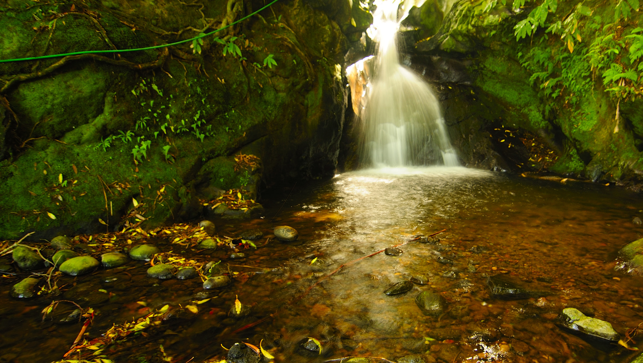 Nikon D90 sample photo. Aqualva photography