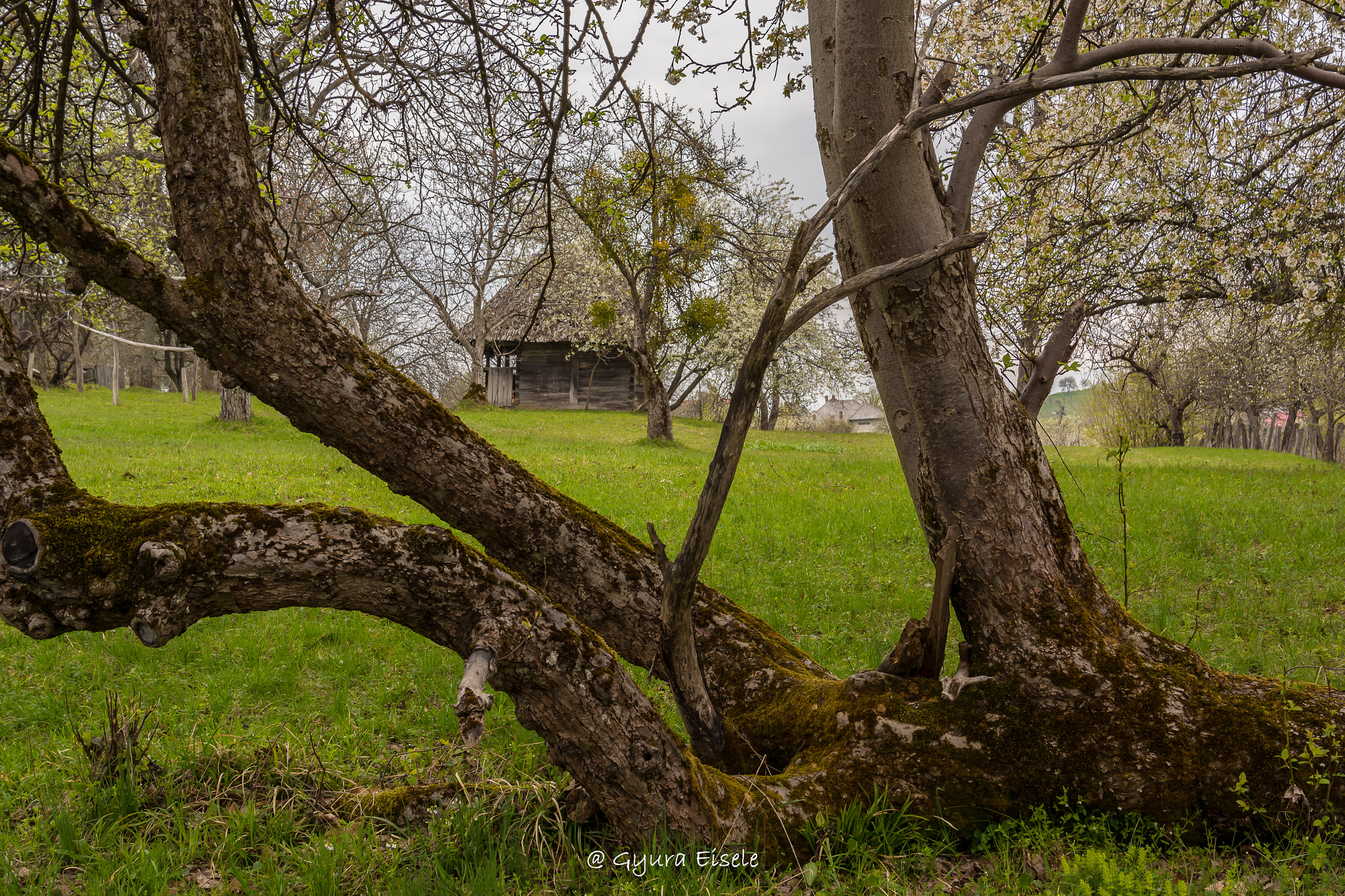 Nikon D7100 + Nikon AF-S Nikkor 24-85mm F3.5-4.5G ED VR sample photo. Old house from preluca noua maramures country photography