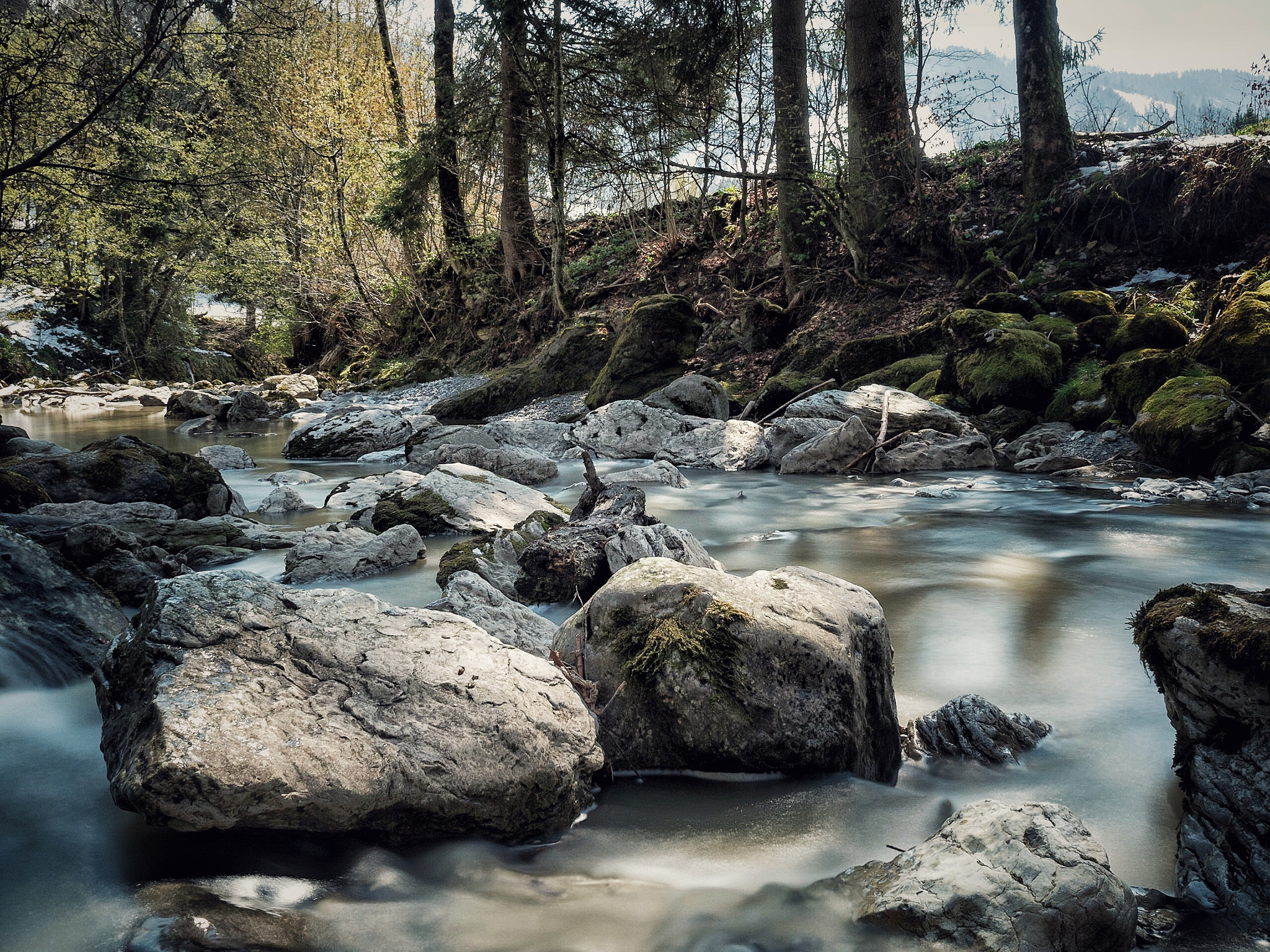 Olympus OM-D E-M5 II + Olympus M.Zuiko Digital 17mm F1.8 sample photo. Unterwasser - schwitzerland photography