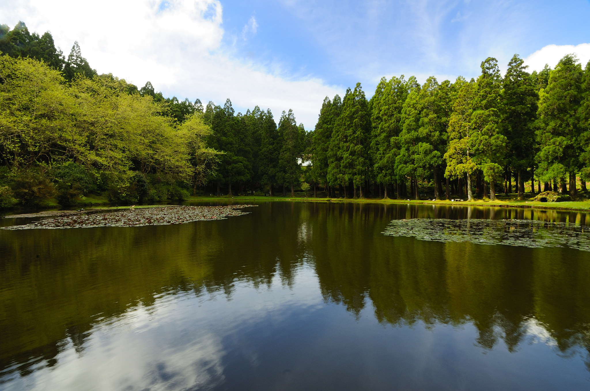 Nikon D90 sample photo. Lagoa das patas photography