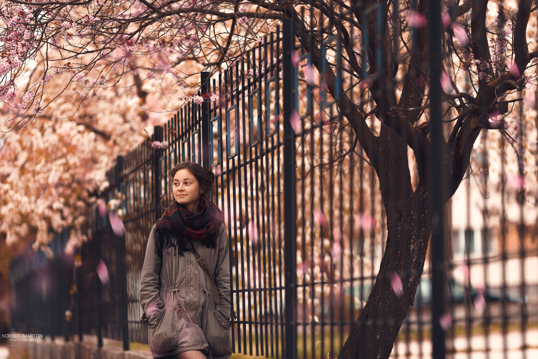 Canon EF 135mm F2L USM sample photo. Timea photography