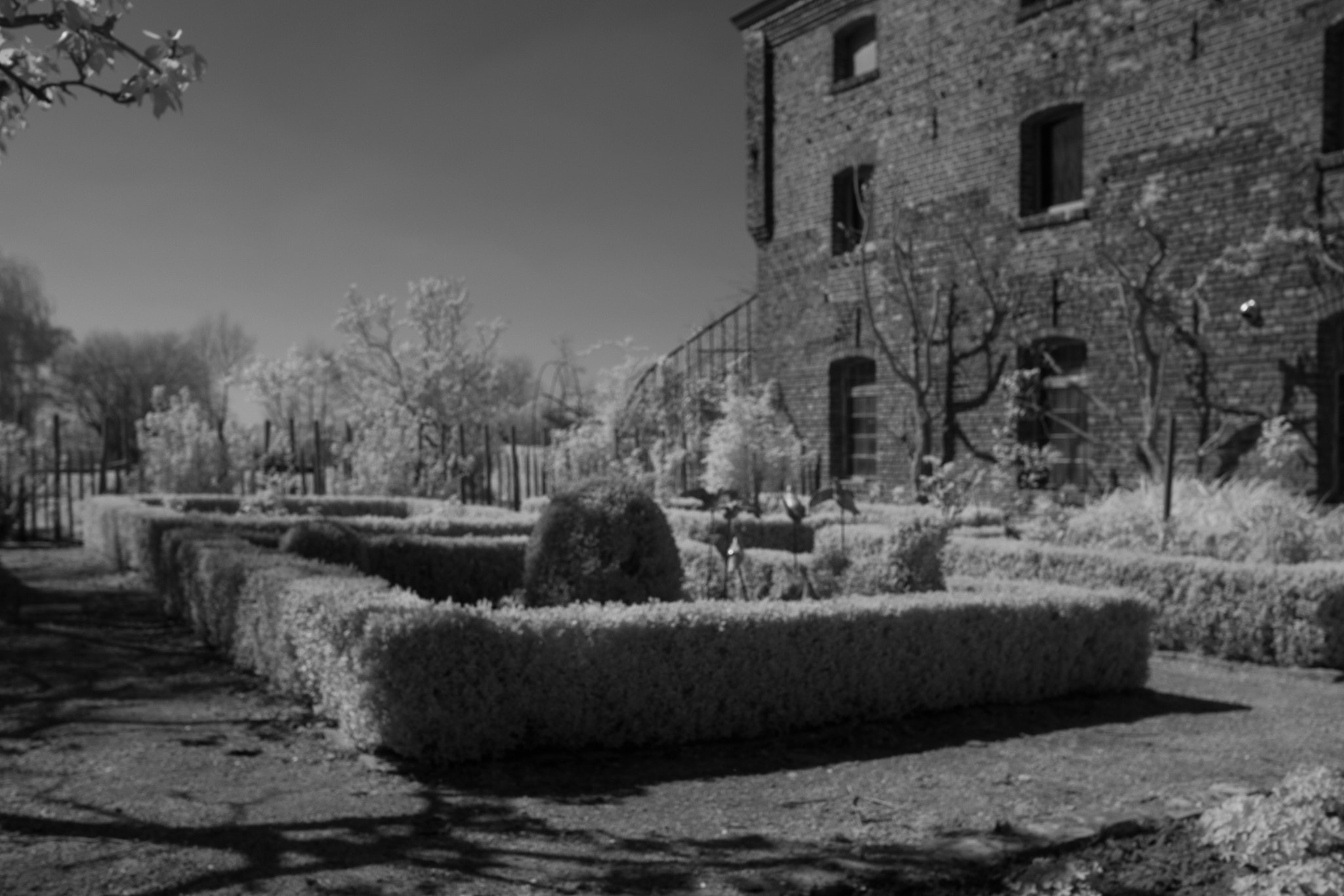 Fujifilm XF 23mm F2 R WR sample photo. For old times sake. going angele's way ! photography