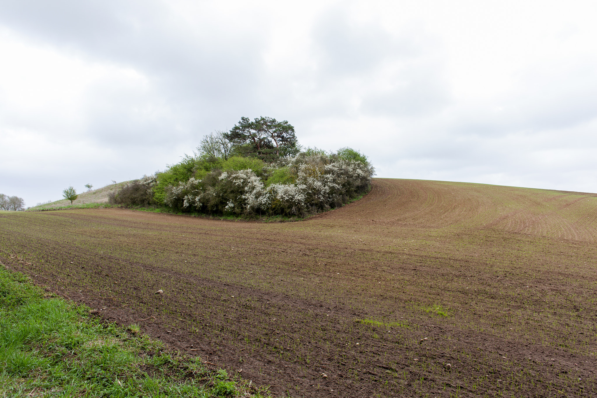 Canon EOS 5D Mark II + Canon EF 24mm F2.8 IS USM sample photo. Steinhöfel, uckermark photography