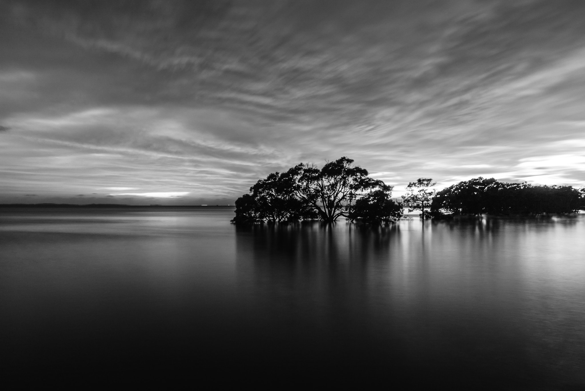 Canon EF-S 18-55mm F3.5-5.6 IS sample photo. Submerged mangrove tree b&w photography