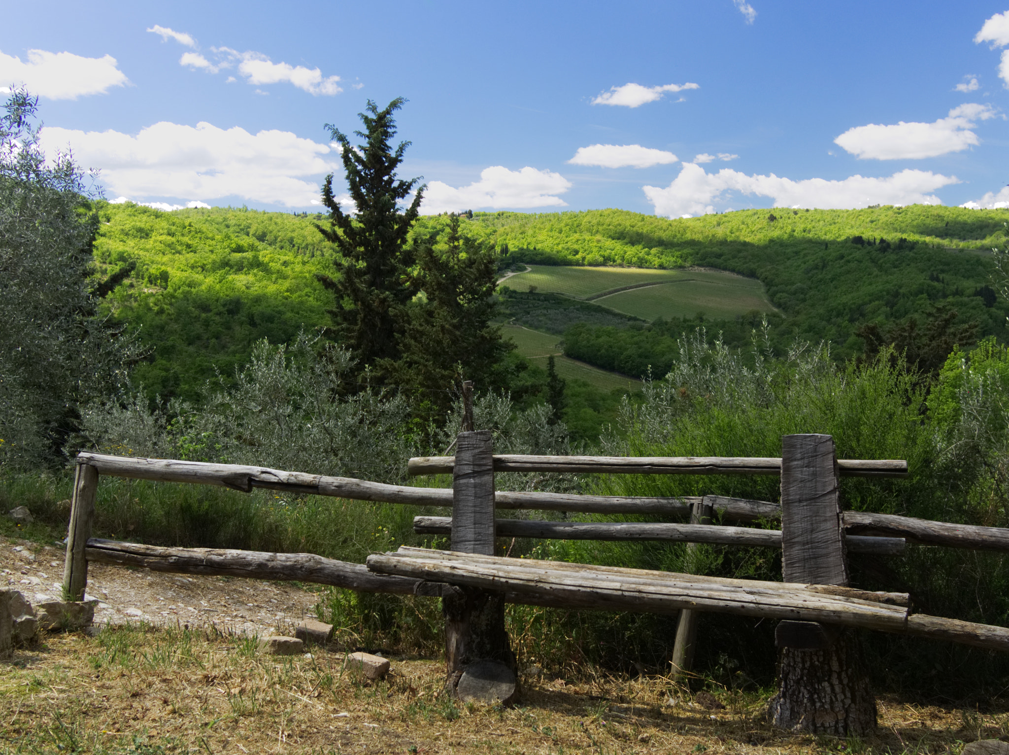Olympus OM-D E-M10 sample photo. A bench in chianti photography
