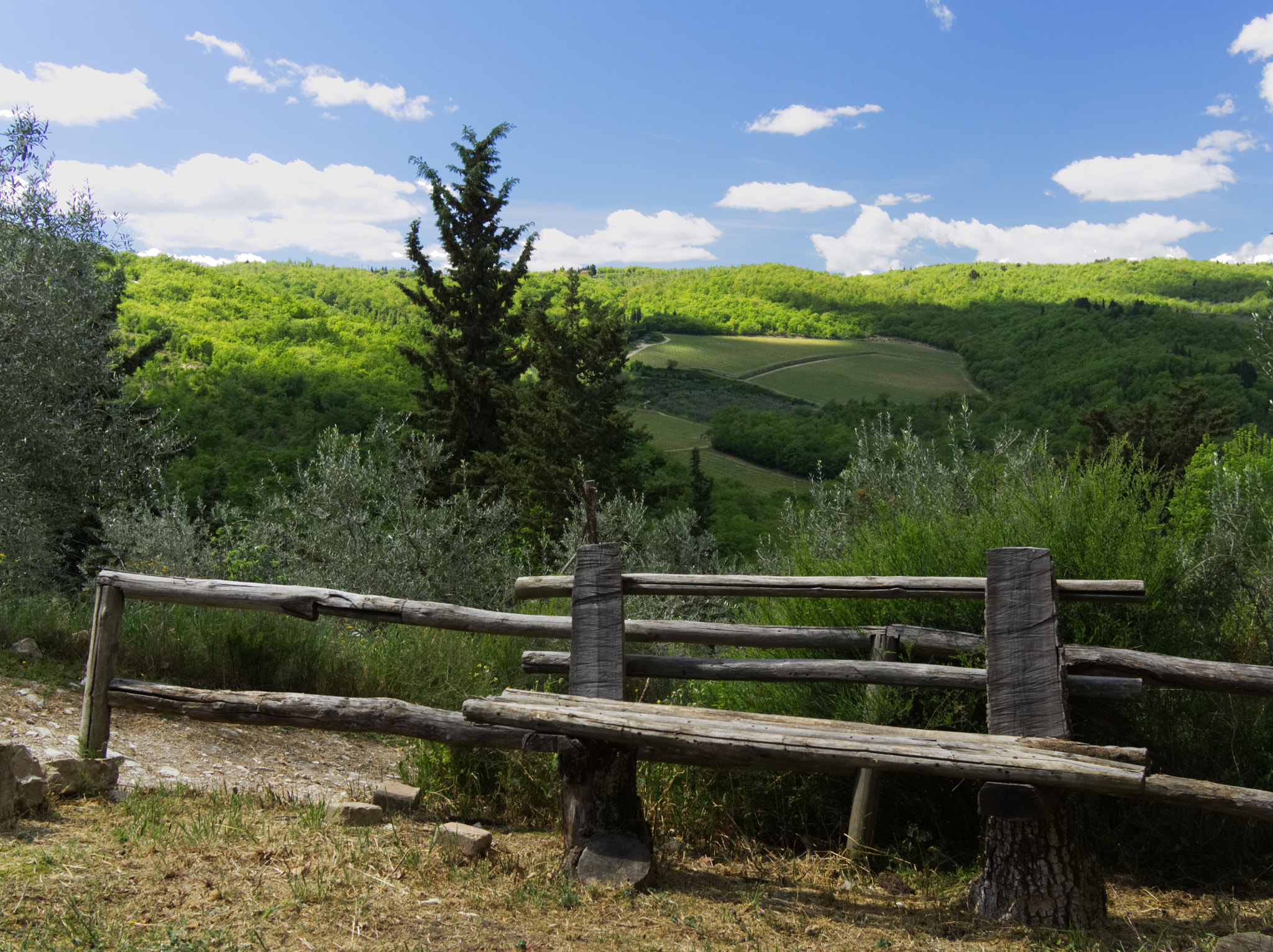 Olympus OM-D E-M10 + LUMIX G 20/F1.7 II sample photo. A bench in chianti photography