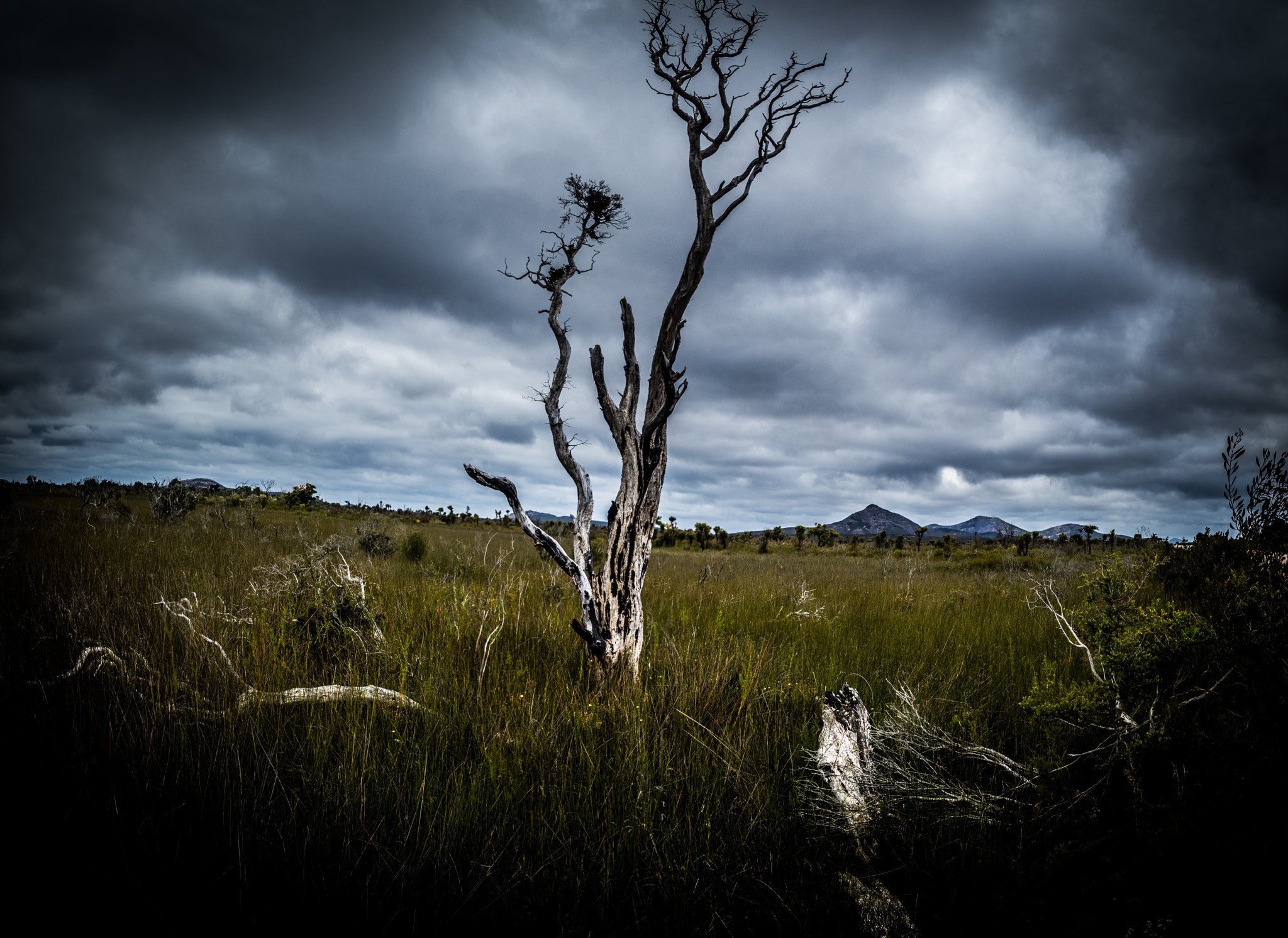 Canon EOS 7D Mark II sample photo. Cape le grand national park near esperance, western australia photography