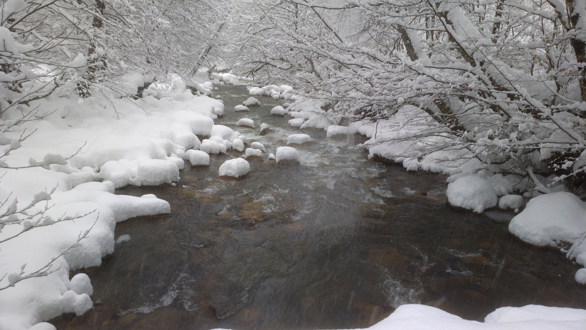 Nokia 808 PureView sample photo. River nakra photography