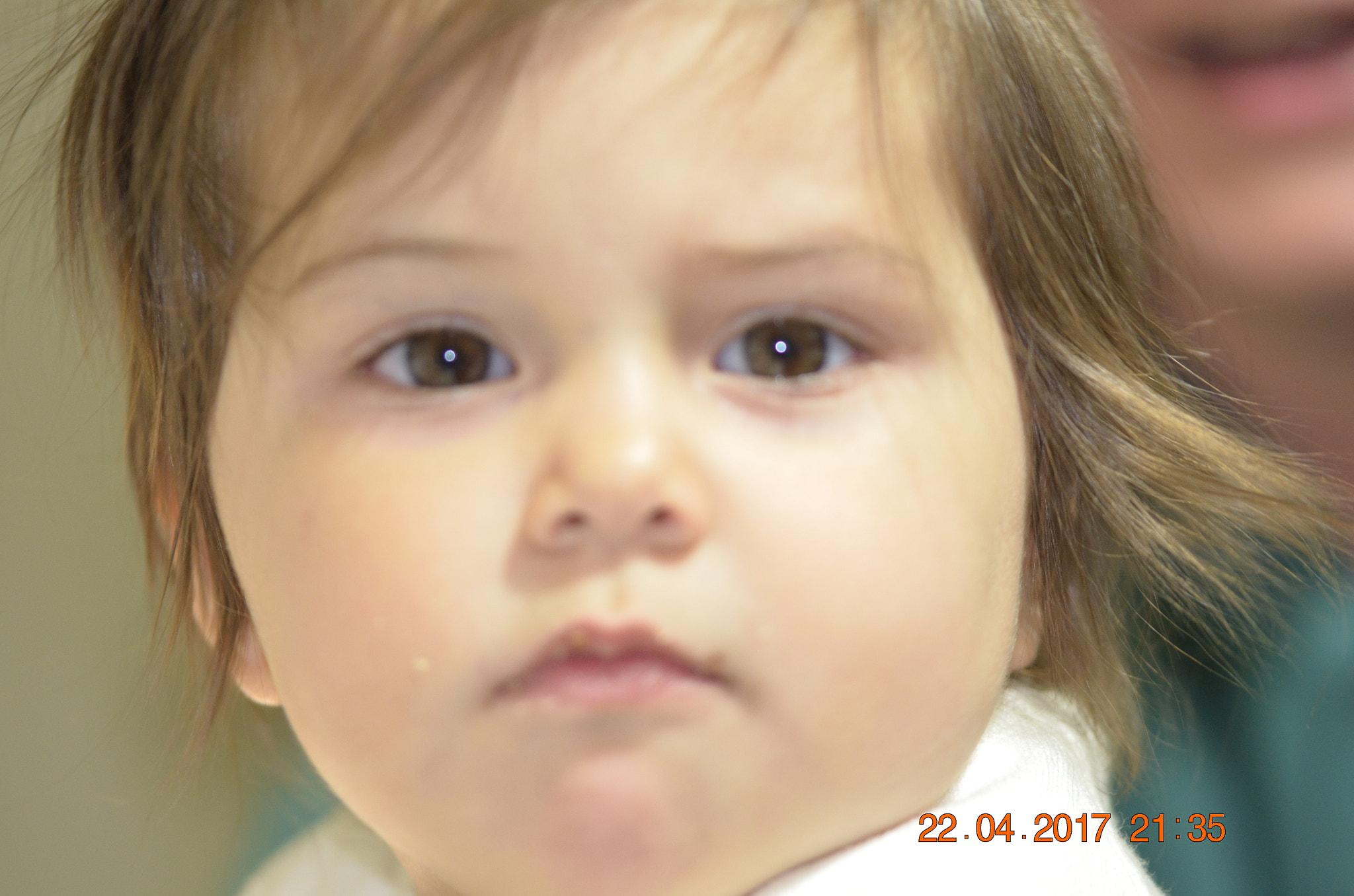 Sigma 105mm F2.8 EX DG OS HSM sample photo. Elif photography