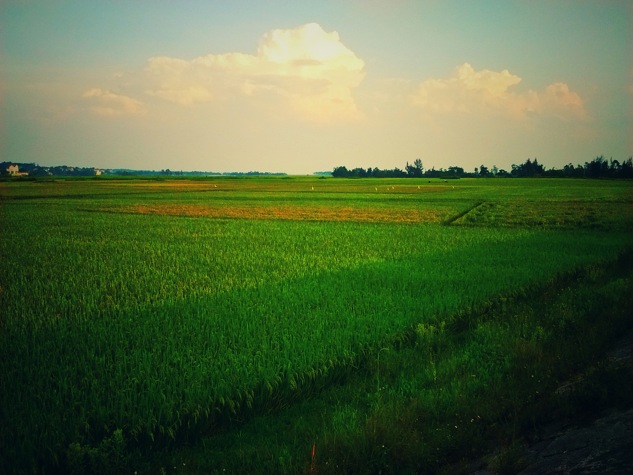 Motorola Moto E with 4G LTE (2nd Gen) sample photo